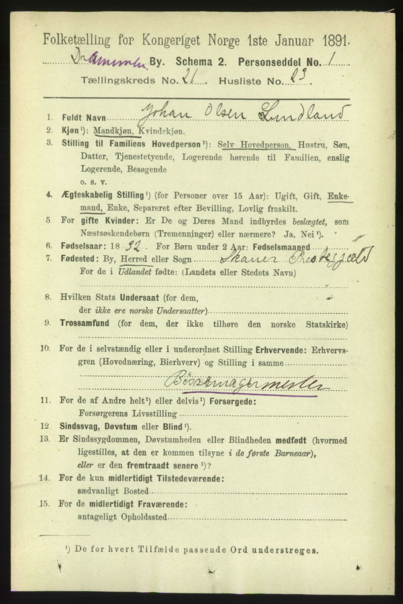 RA, 1891 census for 0602 Drammen, 1891, p. 13294