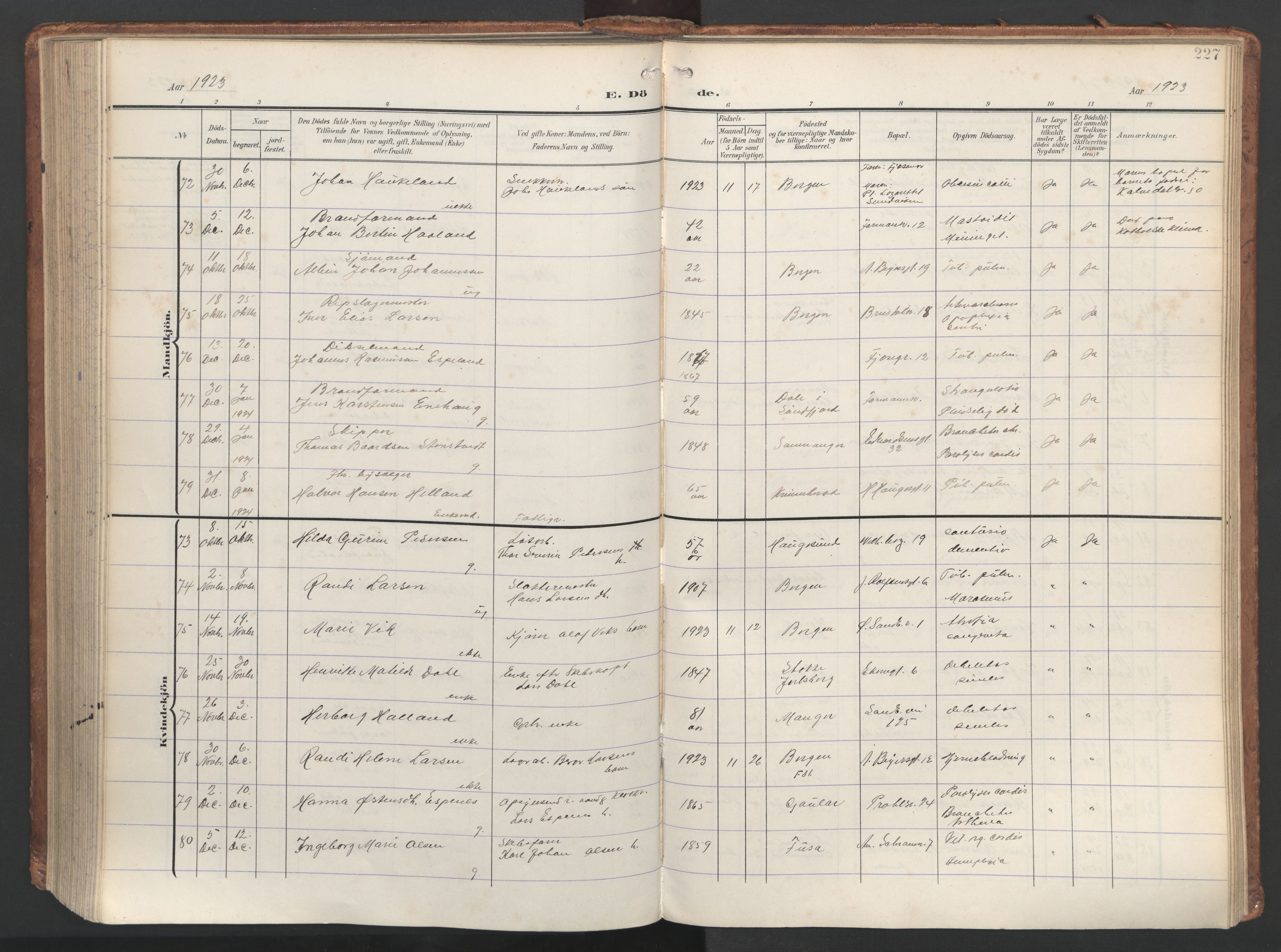 Sandviken Sokneprestembete, AV/SAB-A-77601/H/Ha/L0019: Parish register (official) no. E 2, 1905-1933, p. 227