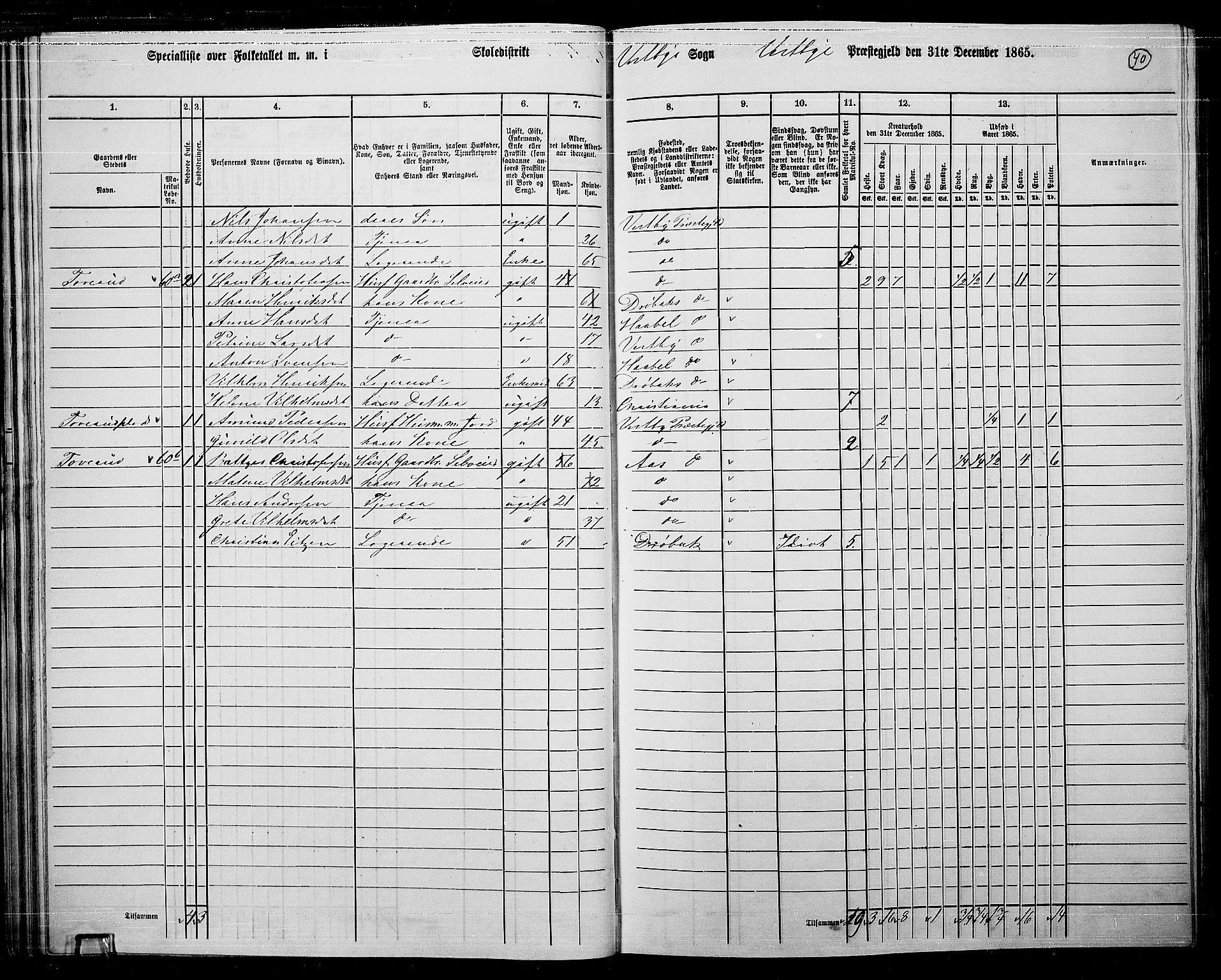 RA, 1865 census for Vestby, 1865, p. 40