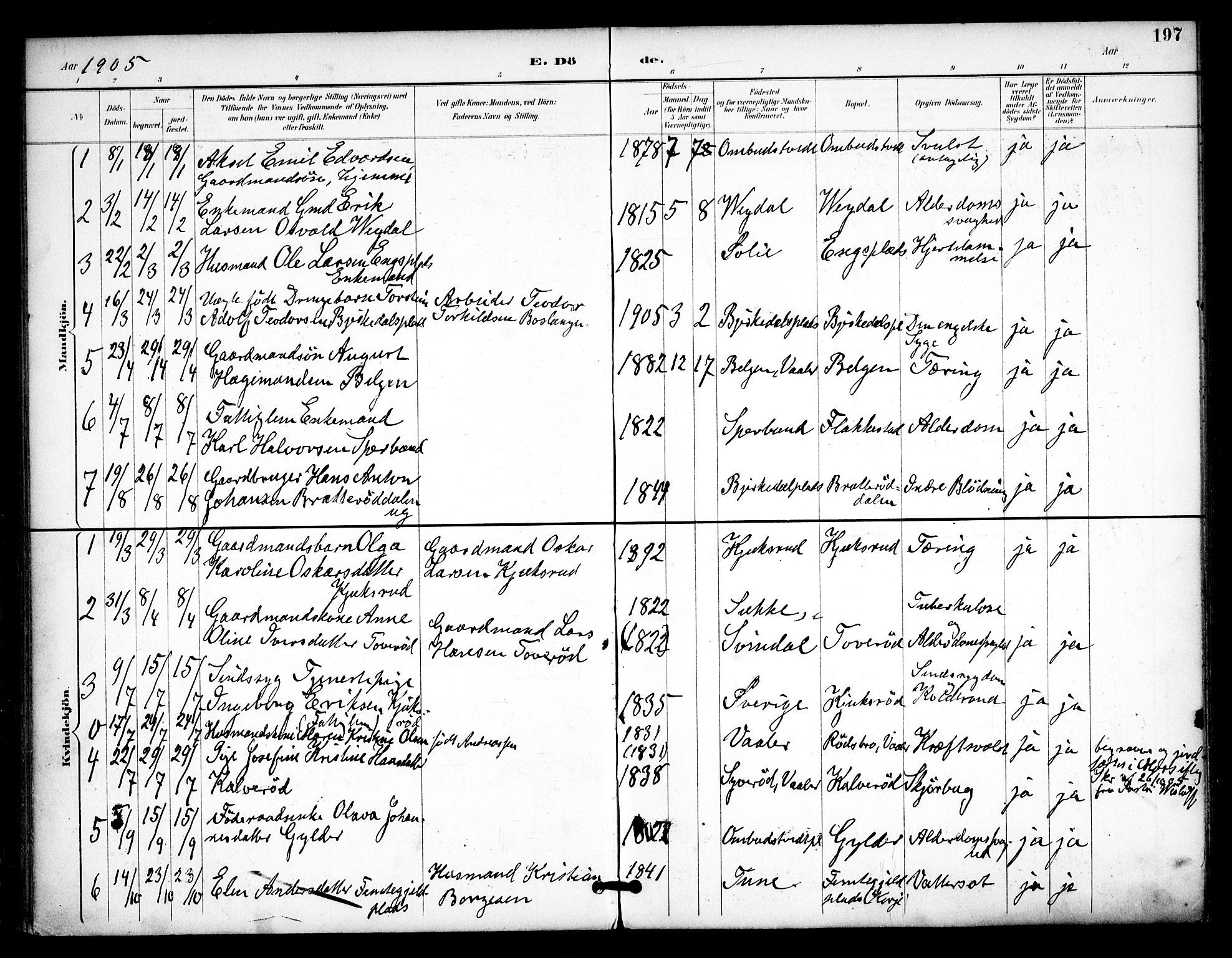 Våler prestekontor Kirkebøker, SAO/A-11083/F/Fa/L0011: Parish register (official) no. I 11, 1893-1909, p. 197