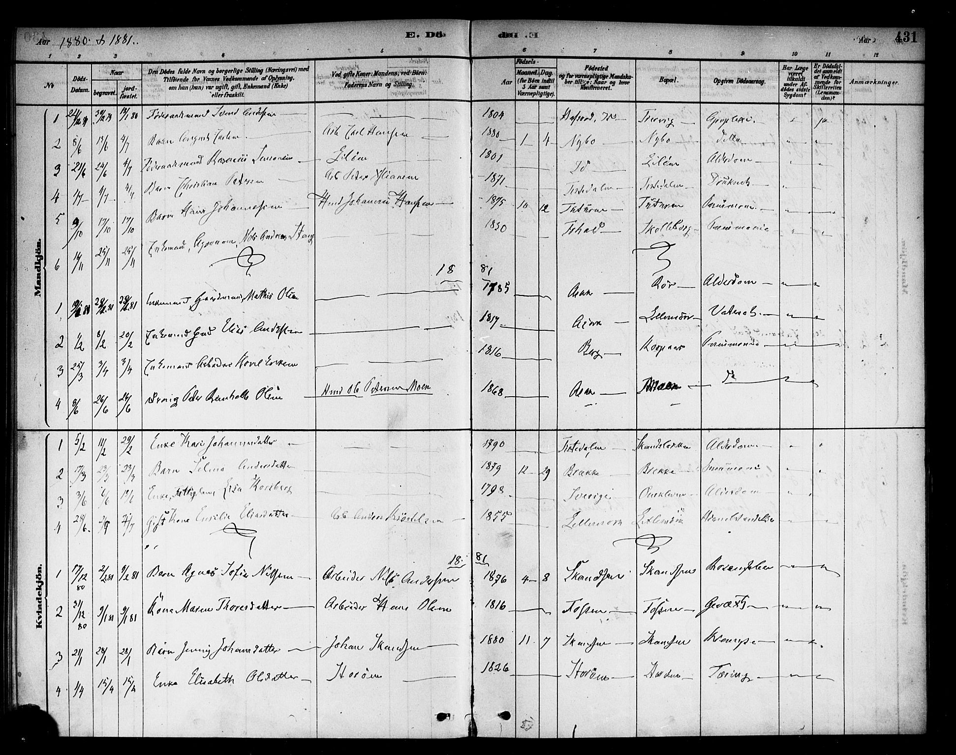 Berg prestekontor Kirkebøker, AV/SAO-A-10902/F/Fb/L0001: Parish register (official) no. II 1, 1878-1887, p. 431