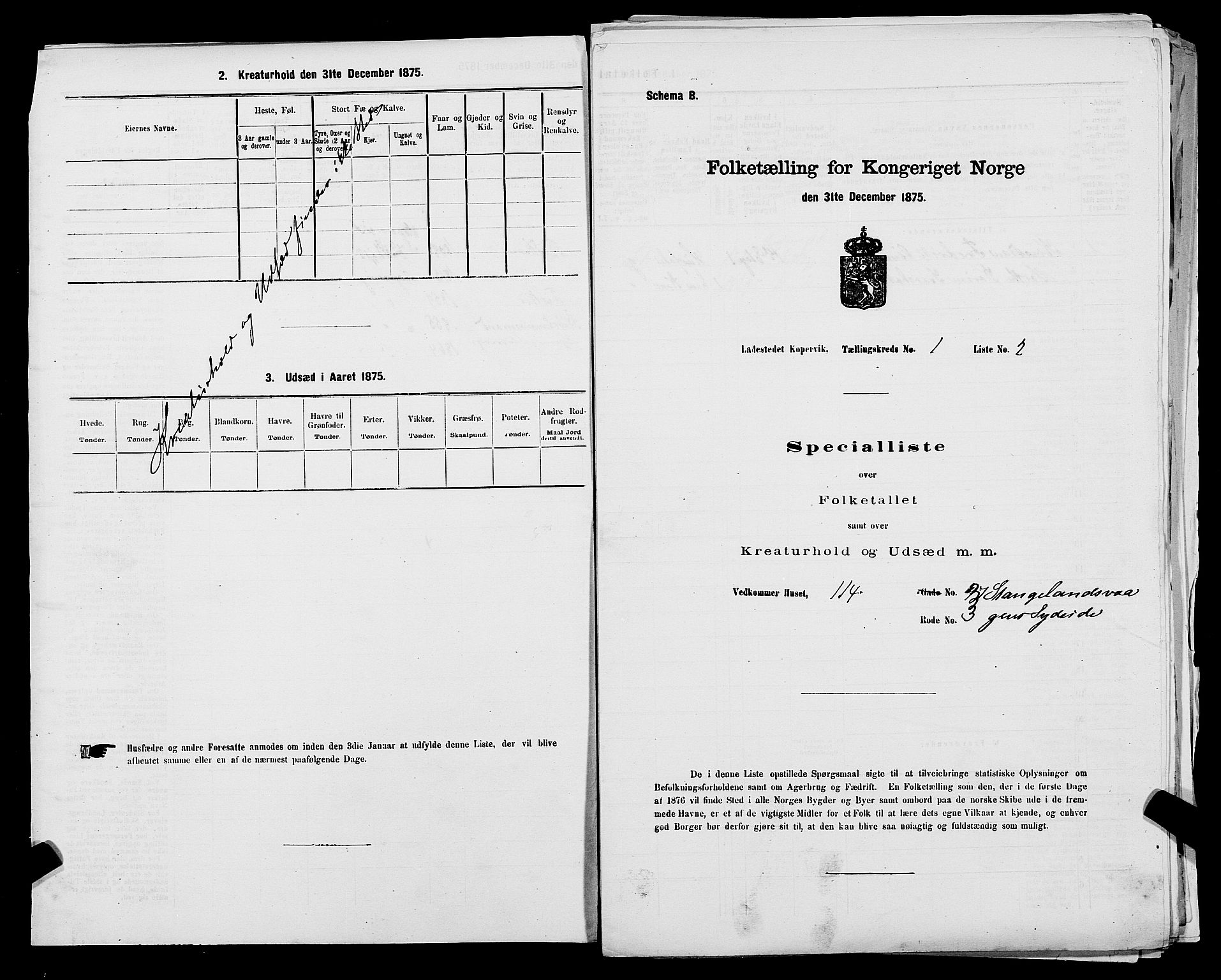 SAST, 1875 census for 1105B Avaldsnes/Kopervik, 1875, p. 4