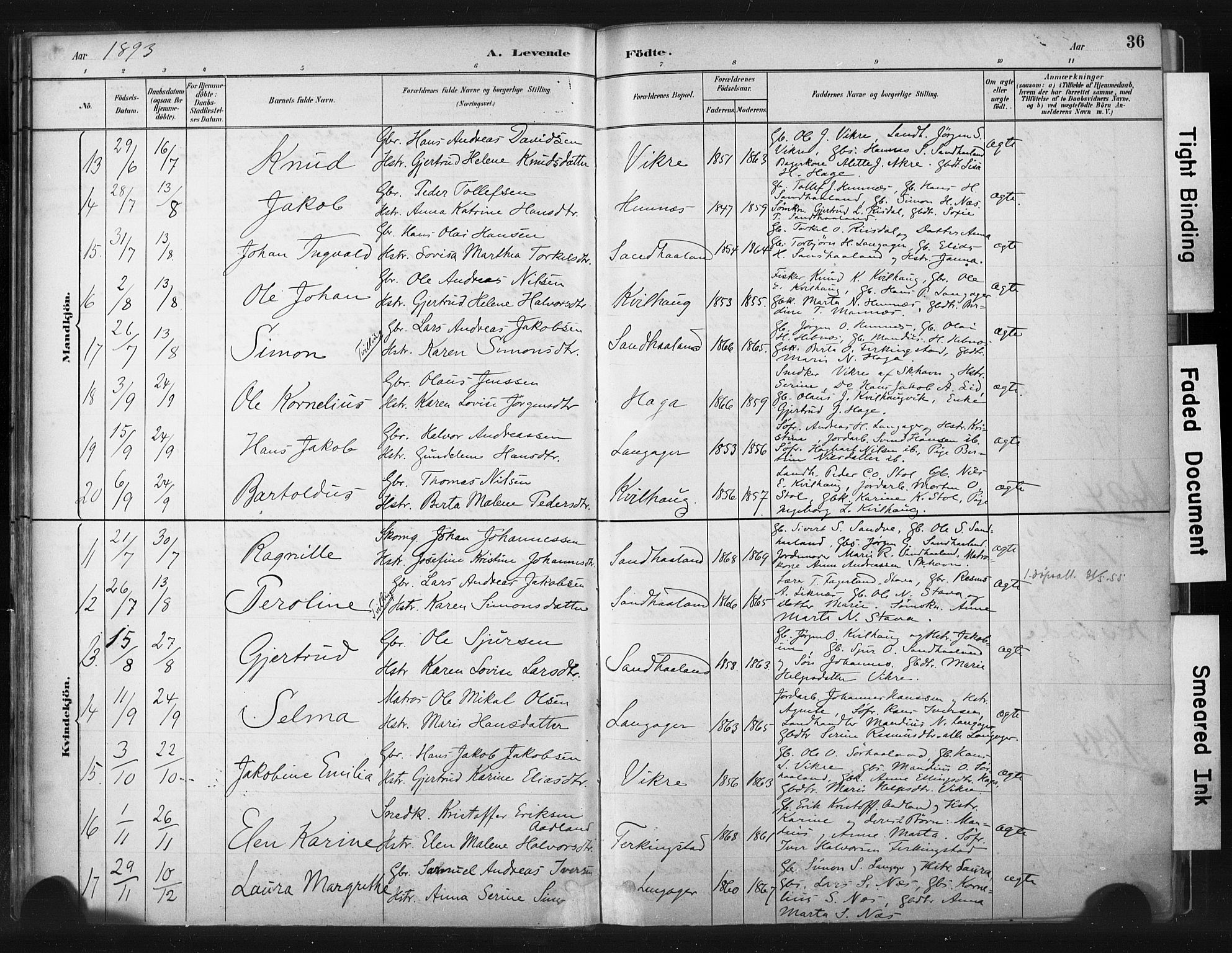 Skudenes sokneprestkontor, SAST/A -101849/H/Ha/Haa/L0010: Parish register (official) no. A 7, 1882-1912, p. 36