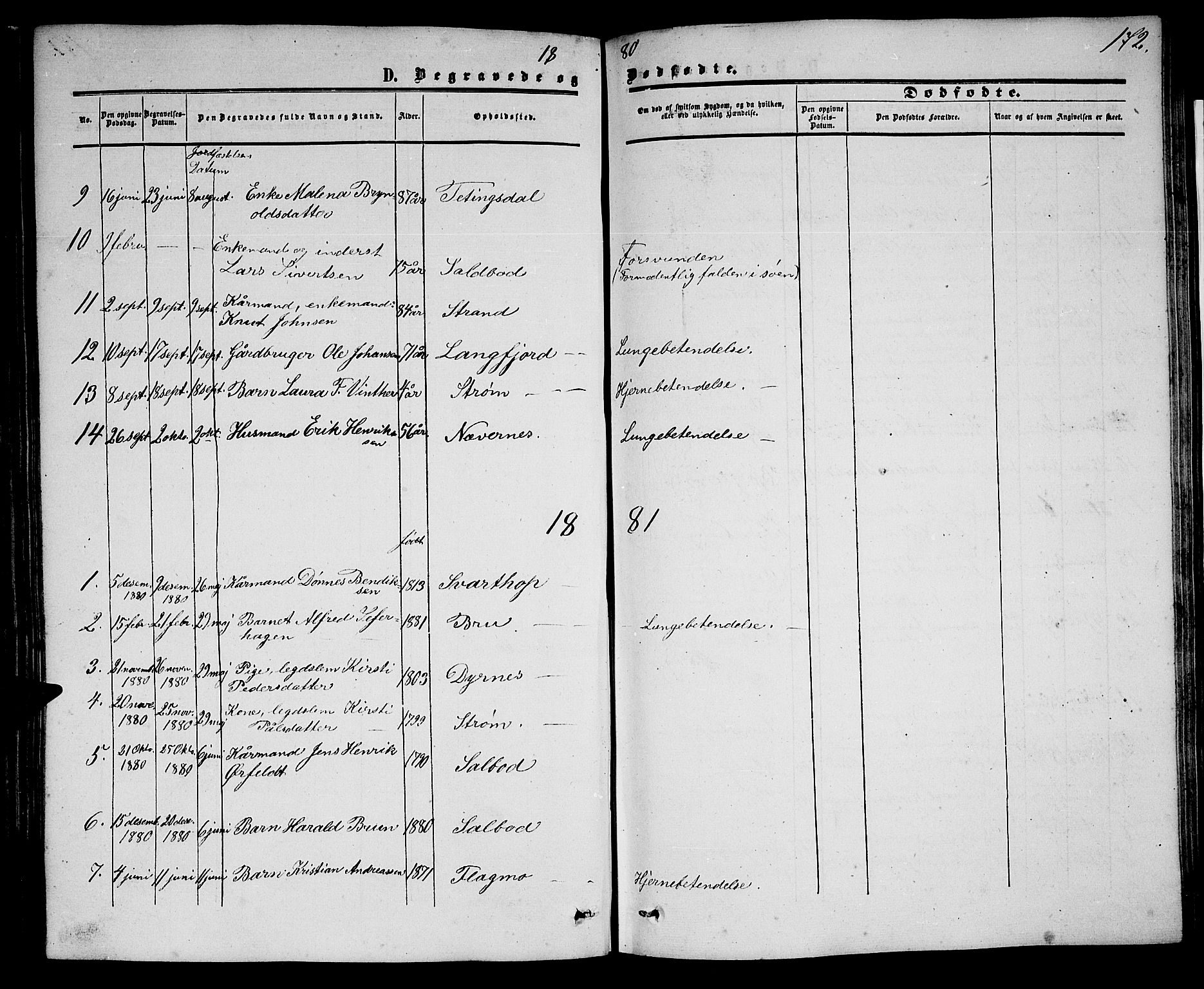 Ministerialprotokoller, klokkerbøker og fødselsregistre - Nordland, SAT/A-1459/814/L0229: Parish register (copy) no. 814C02, 1859-1883, p. 172