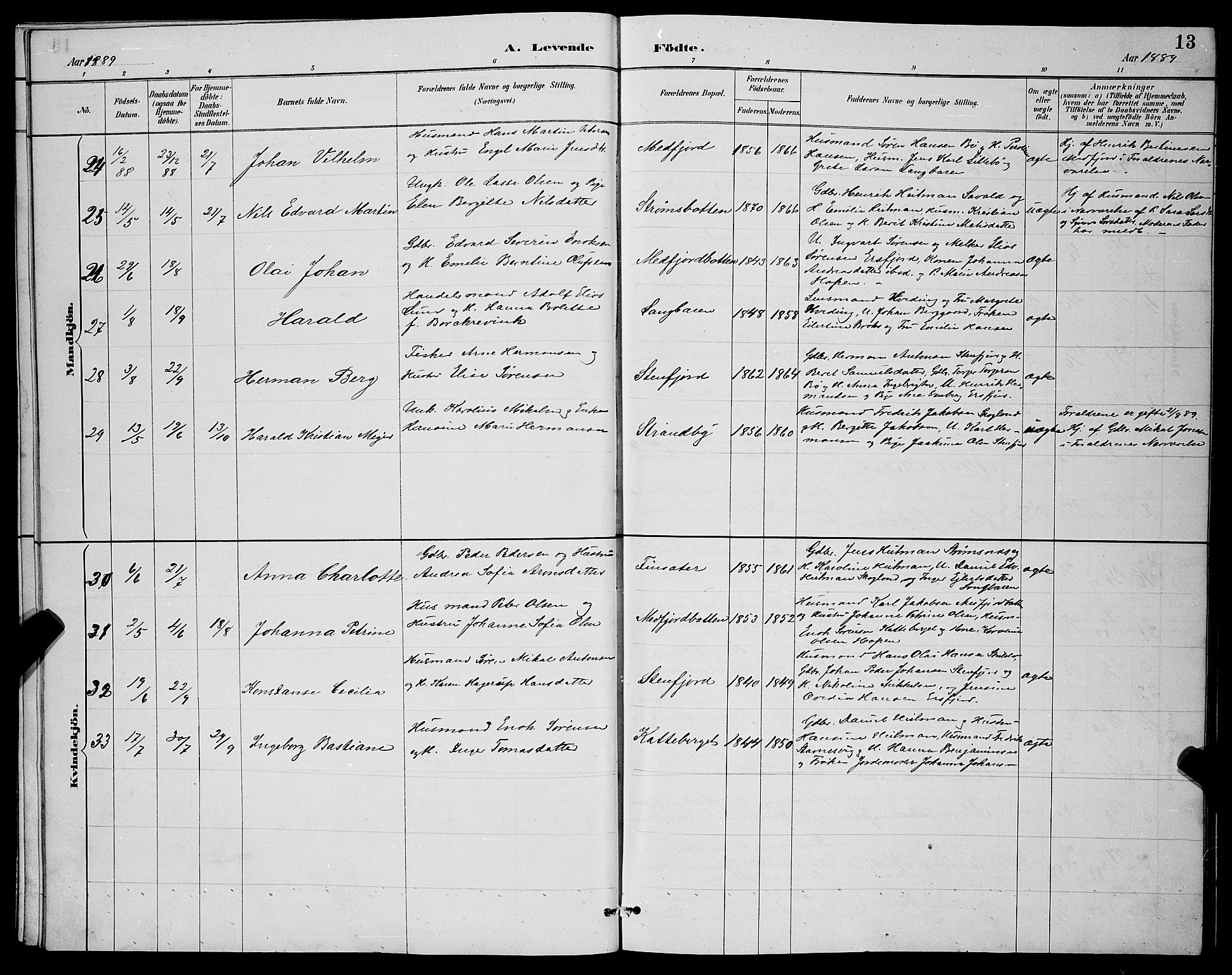 Berg sokneprestkontor, SATØ/S-1318/G/Ga/Gab/L0004klokker: Parish register (copy) no. 4, 1887-1897, p. 13