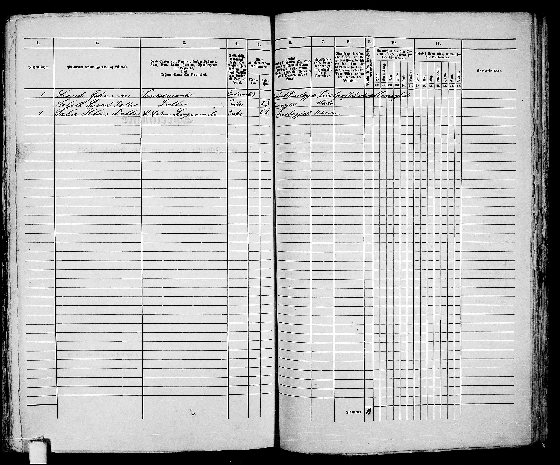 RA, 1865 census for Stavanger, 1865, p. 387