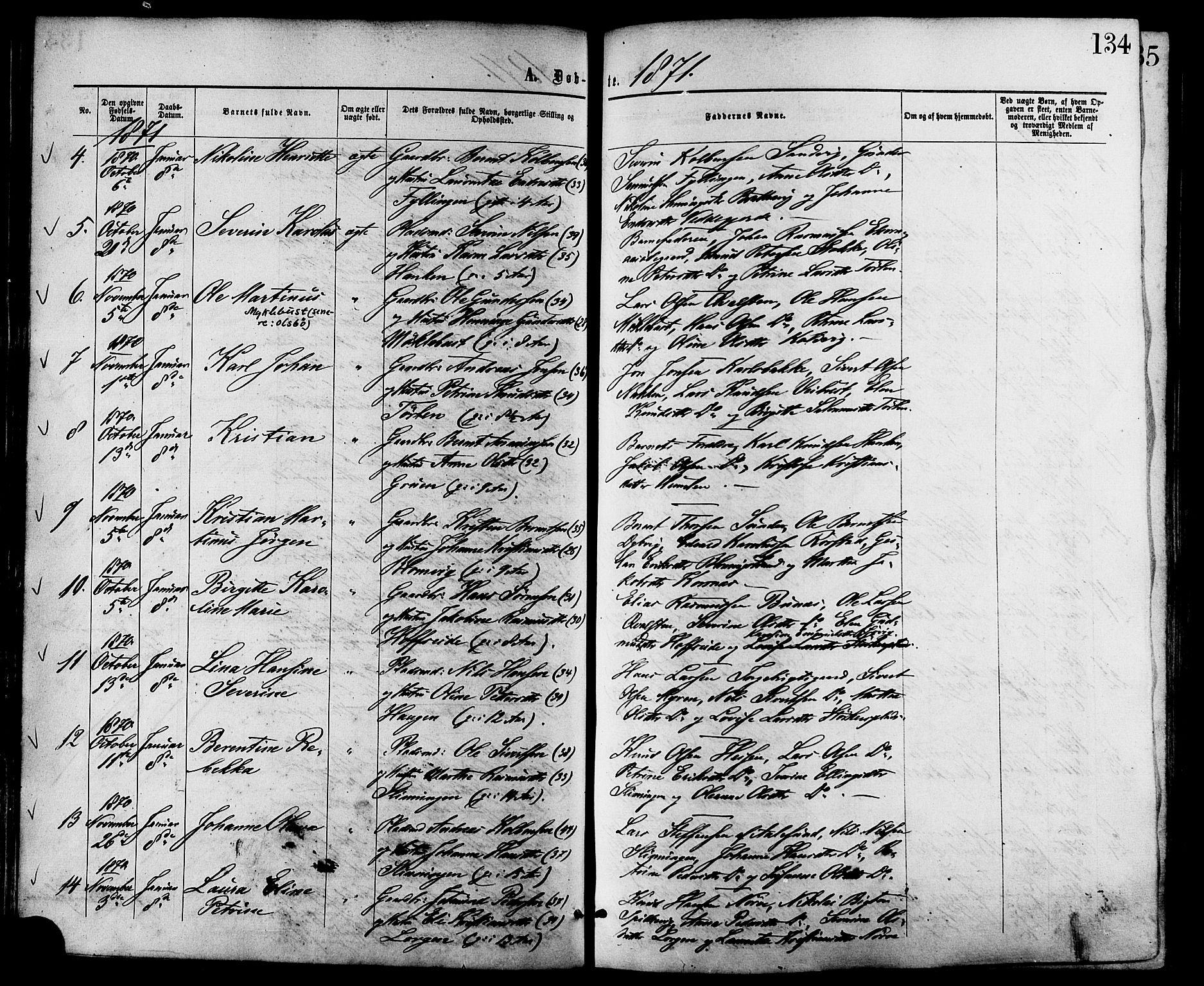 Ministerialprotokoller, klokkerbøker og fødselsregistre - Møre og Romsdal, AV/SAT-A-1454/528/L0399: Parish register (official) no. 528A10, 1864-1879, p. 134