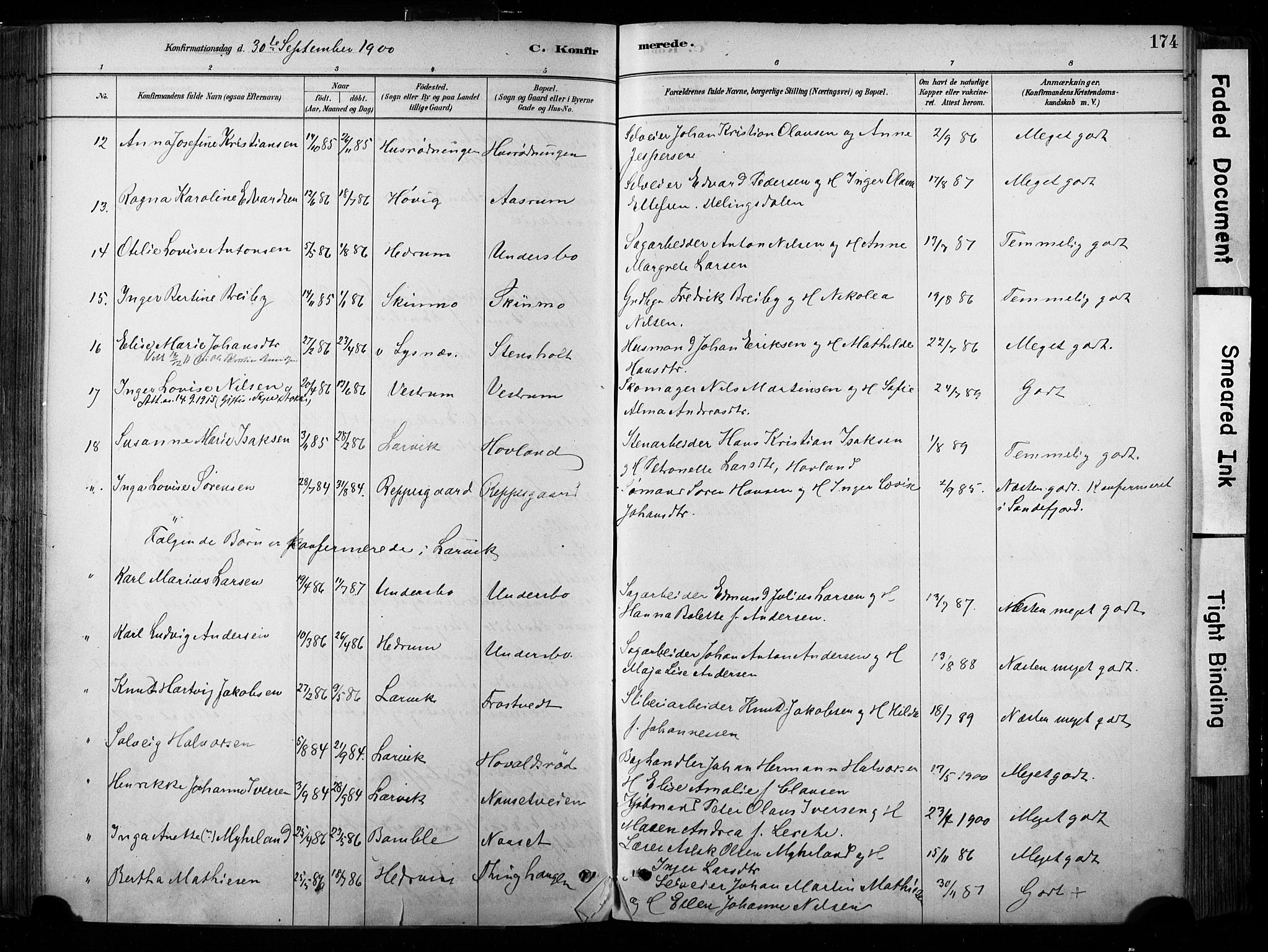 Hedrum kirkebøker, AV/SAKO-A-344/F/Fa/L0009: Parish register (official) no. I 9, 1881-1903, p. 174