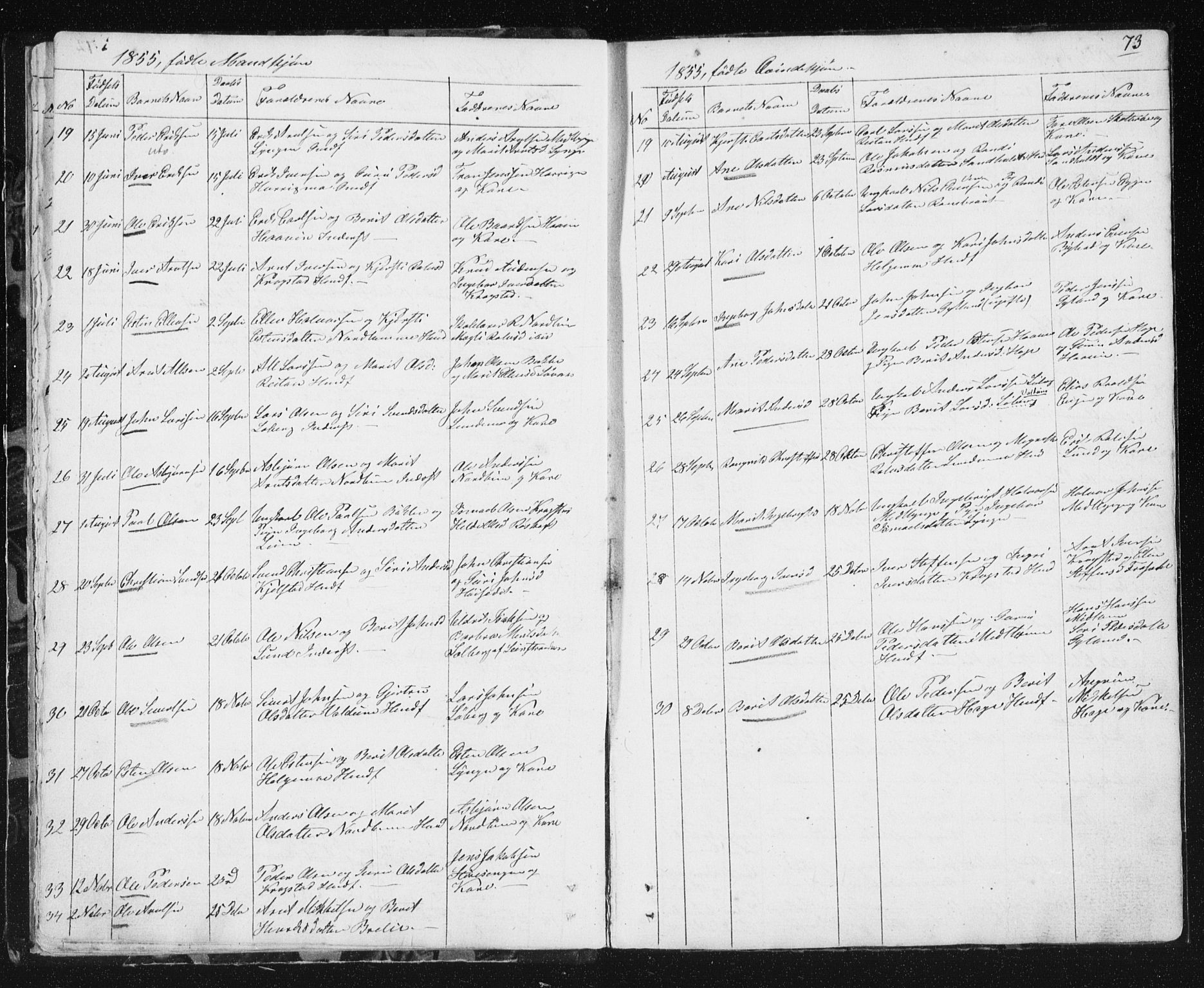 Ministerialprotokoller, klokkerbøker og fødselsregistre - Sør-Trøndelag, SAT/A-1456/692/L1110: Parish register (copy) no. 692C05, 1849-1889, p. 73