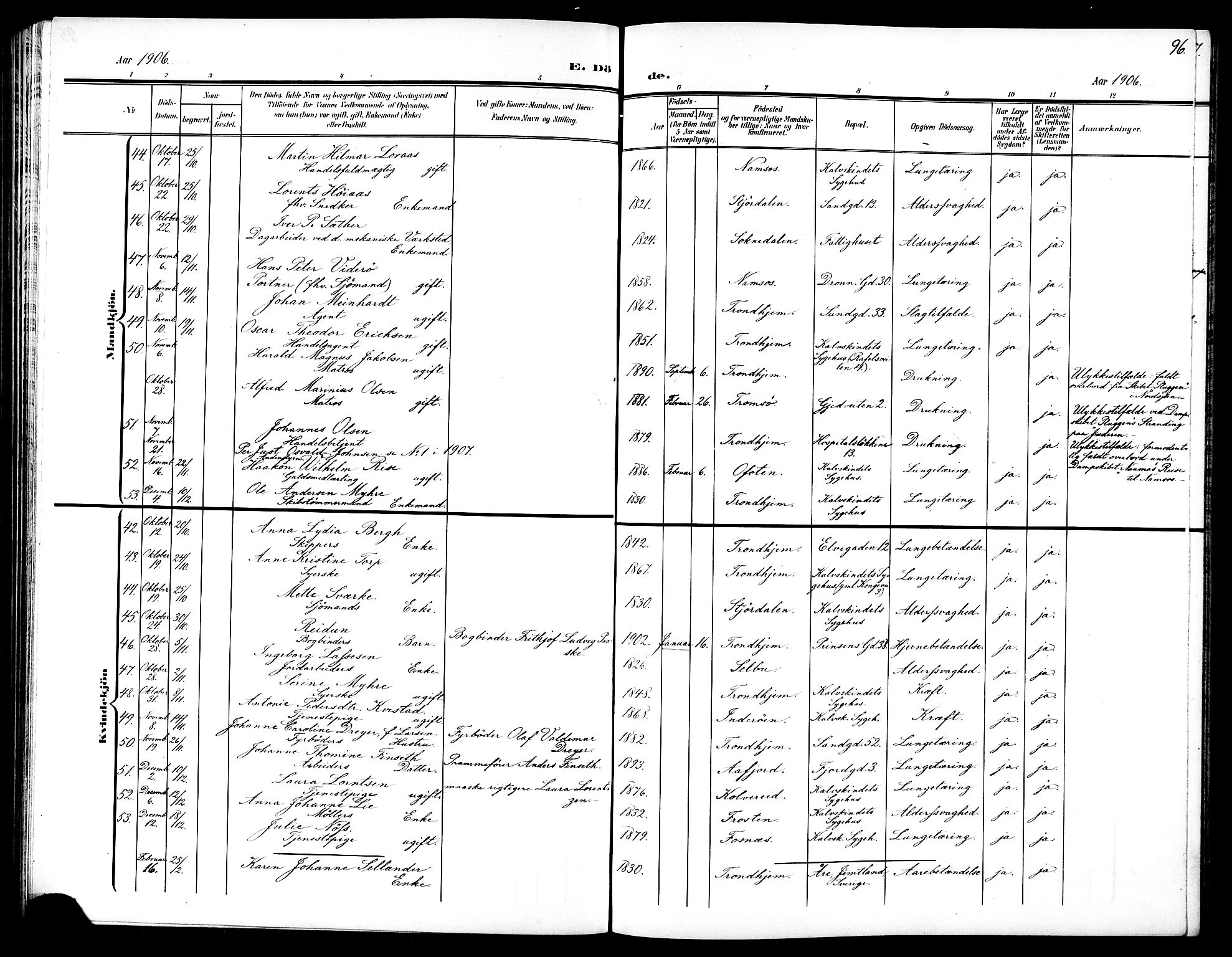 Ministerialprotokoller, klokkerbøker og fødselsregistre - Sør-Trøndelag, SAT/A-1456/602/L0146: Parish register (copy) no. 602C14, 1904-1914, p. 96