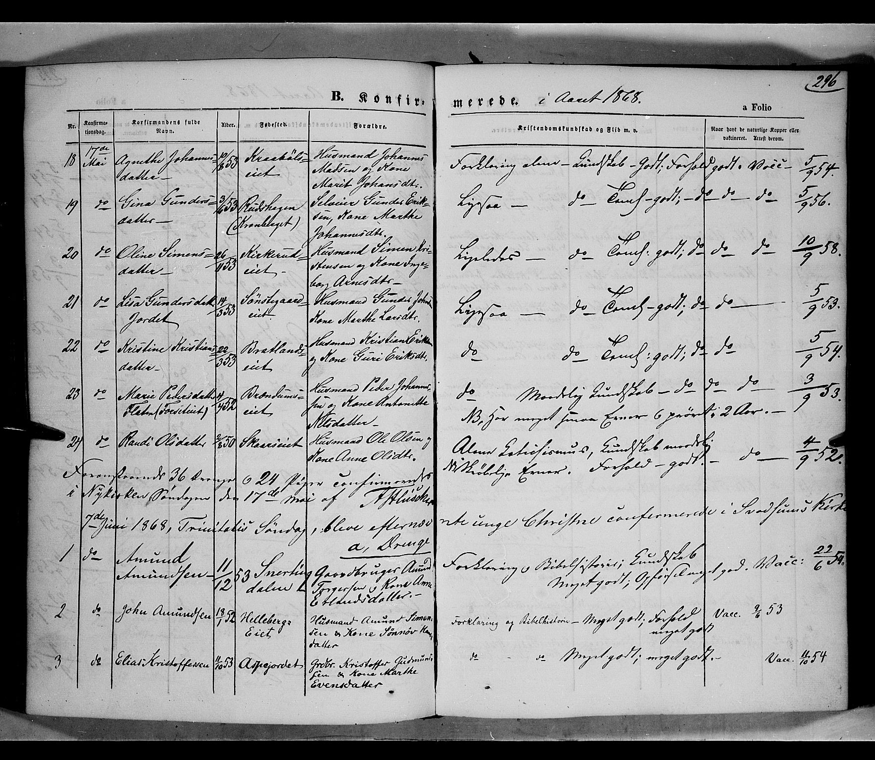 Gausdal prestekontor, AV/SAH-PREST-090/H/Ha/Haa/L0009: Parish register (official) no. 9, 1862-1873, p. 296
