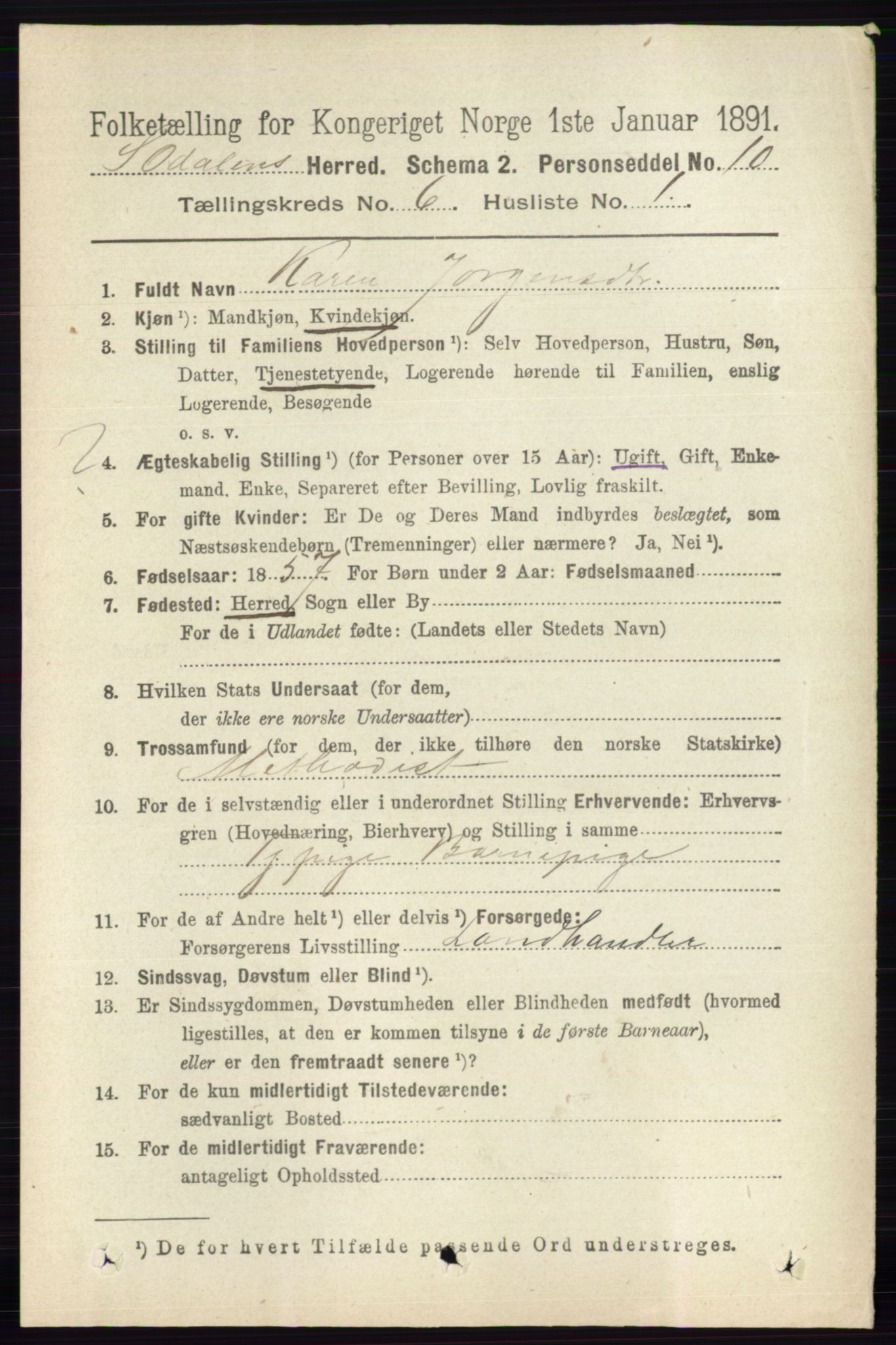 RA, 1891 census for 0419 Sør-Odal, 1891, p. 2804