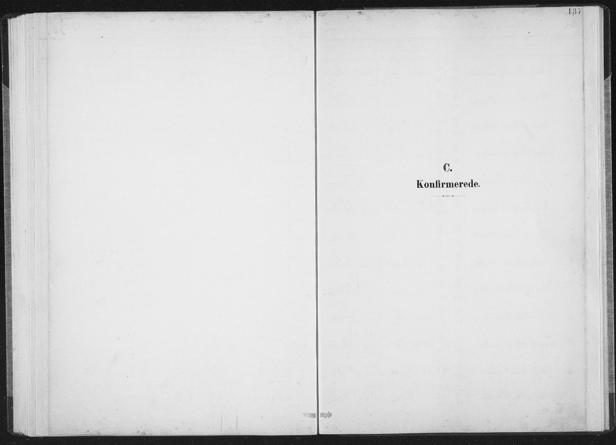 Ministerialprotokoller, klokkerbøker og fødselsregistre - Nordland, AV/SAT-A-1459/805/L0102: Parish register (official) no. 805A08I, 1900-1909, p. 137