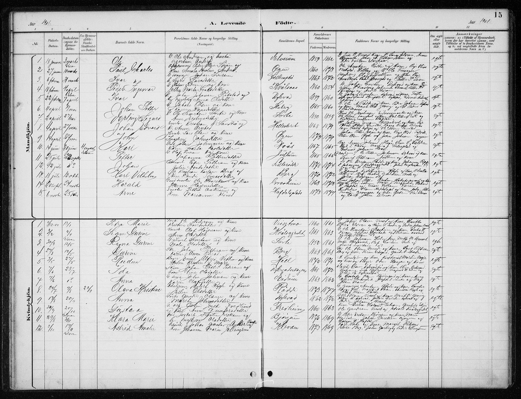 Ministerialprotokoller, klokkerbøker og fødselsregistre - Nord-Trøndelag, SAT/A-1458/710/L0096: Parish register (copy) no. 710C01, 1892-1925, p. 15