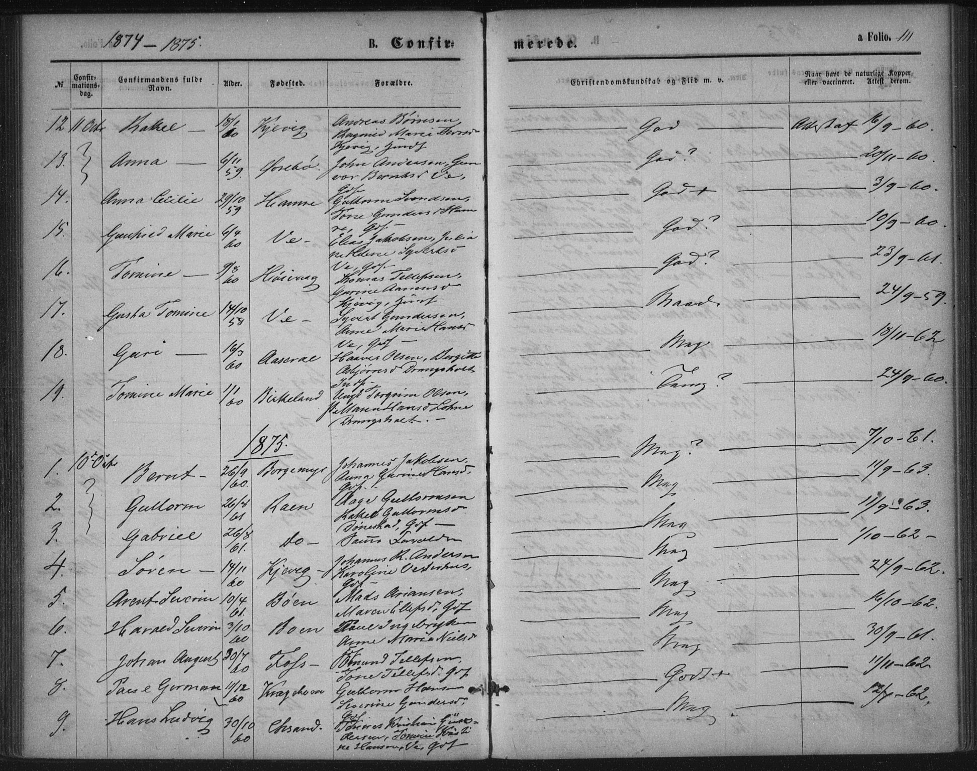 Tveit sokneprestkontor, SAK/1111-0043/F/Fa/L0006: Parish register (official) no. A 6, 1872-1886, p. 111