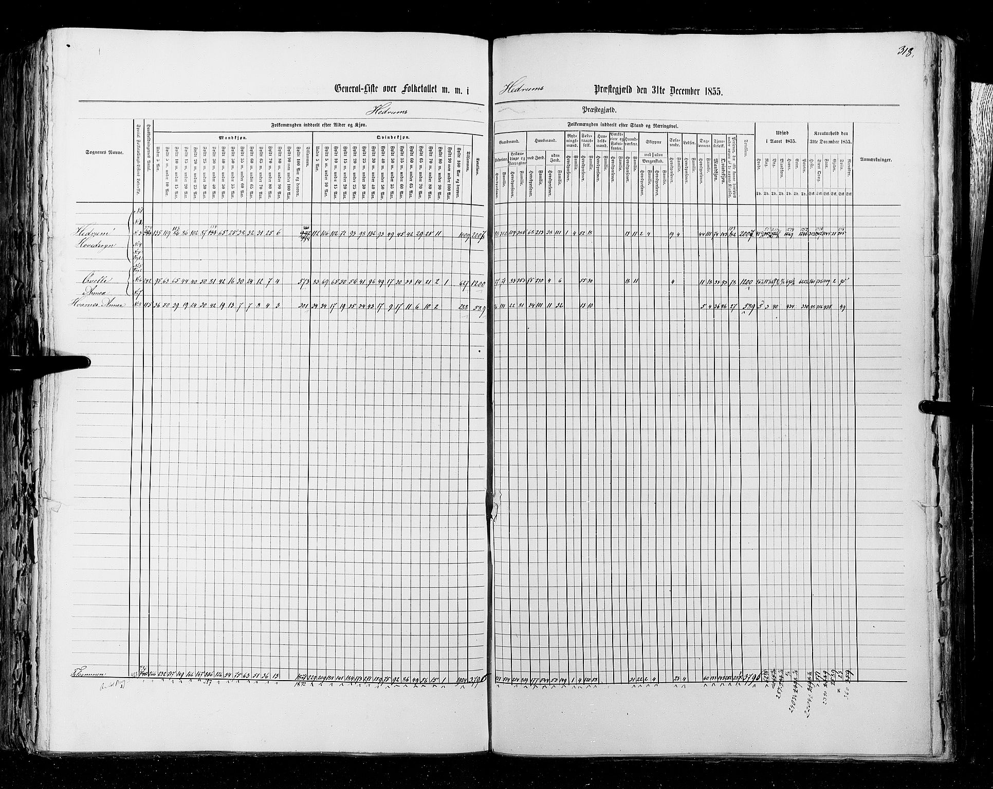 RA, Census 1855, vol. 2: Kristians amt, Buskerud amt og Jarlsberg og Larvik amt, 1855, p. 318