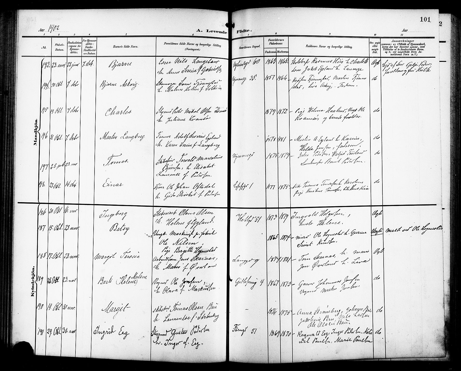 St. Johannes sokneprestkontor, SAST/A-101814/001/30/30BB/L0004: Parish register (copy) no. B 4, 1900-1907, p. 101