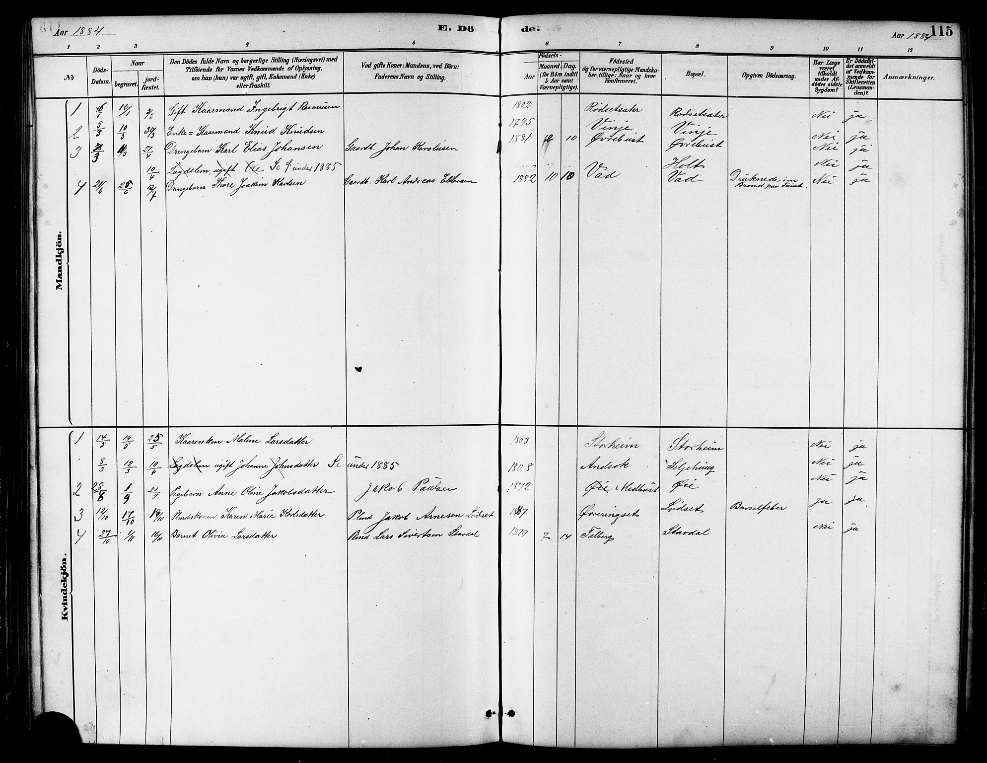 Ministerialprotokoller, klokkerbøker og fødselsregistre - Møre og Romsdal, SAT/A-1454/521/L0302: Parish register (copy) no. 521C03, 1882-1907, p. 115