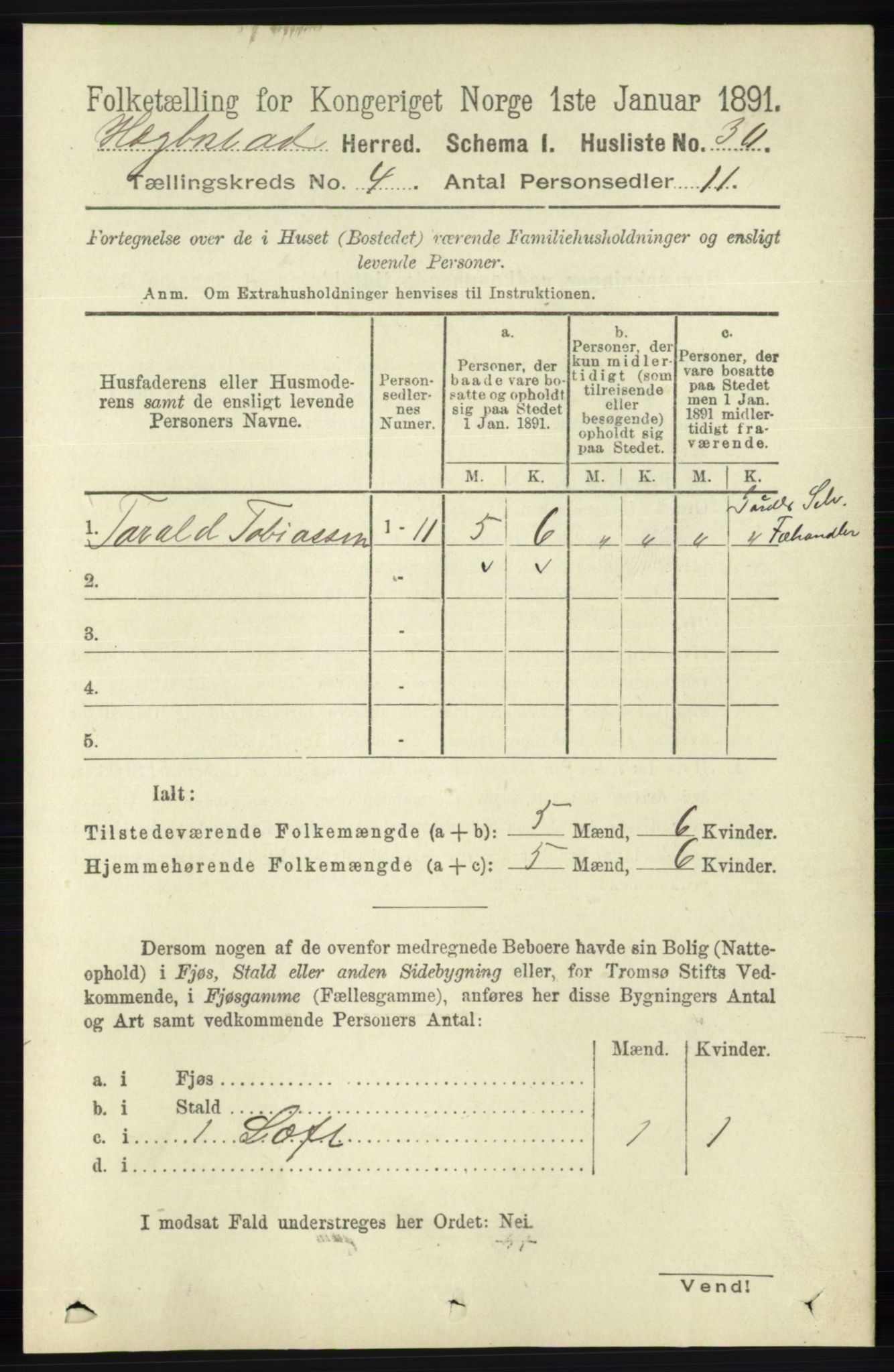 RA, 1891 census for 1034 Hægebostad, 1891, p. 1174