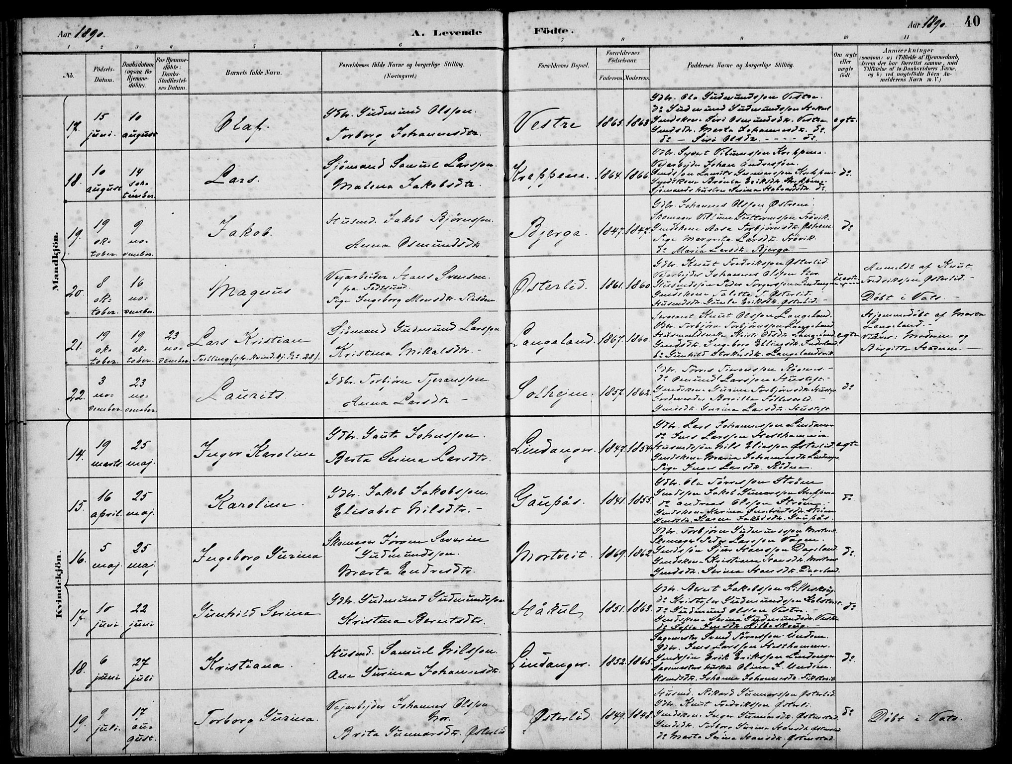 Skjold sokneprestkontor, AV/SAST-A-101847/H/Ha/Haa/L0010: Parish register (official) no. A 10, 1882-1897, p. 40