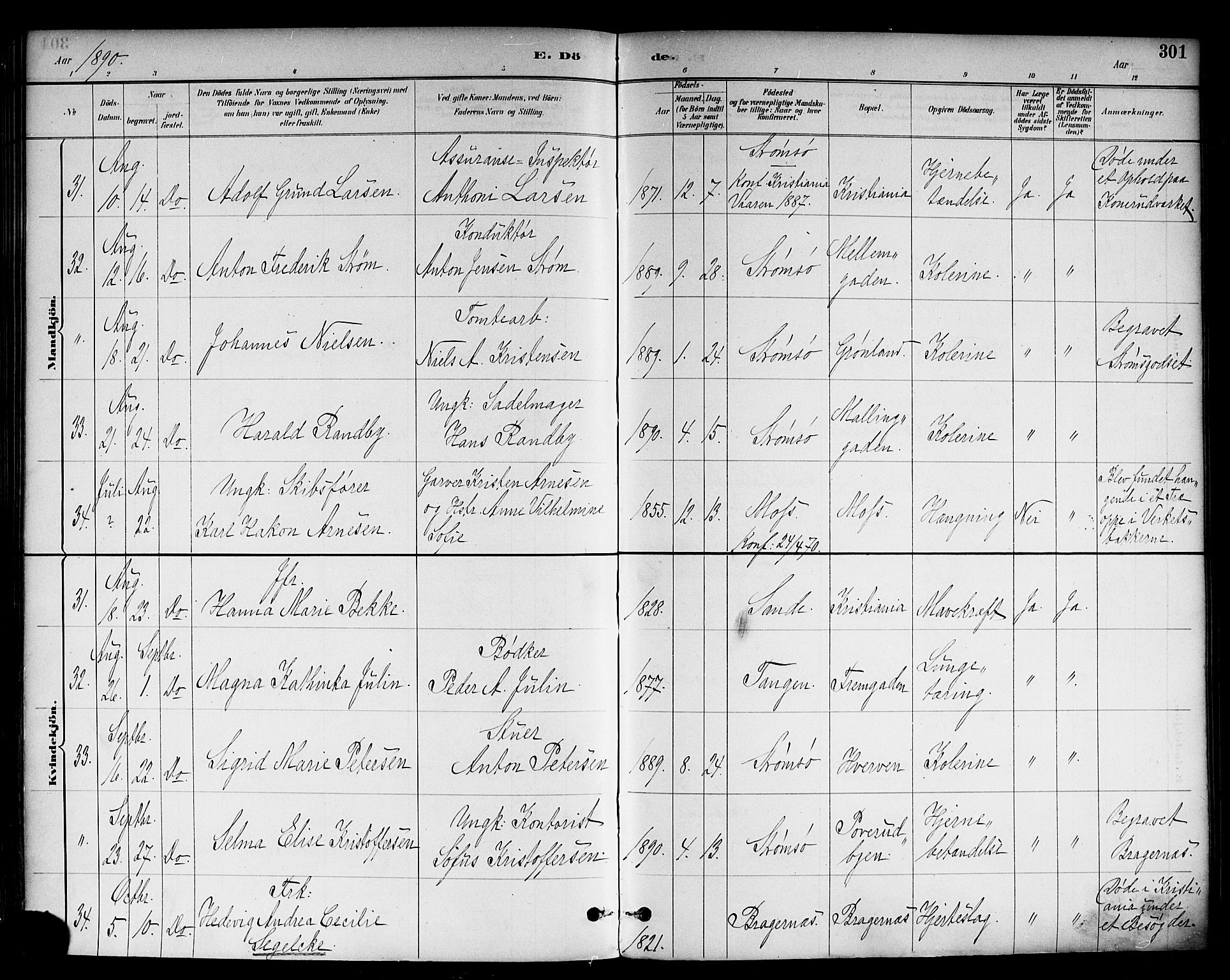 Strømsø kirkebøker, SAKO/A-246/F/Fa/L0023: Parish register (official) no. I 23, 1885-1894, p. 301