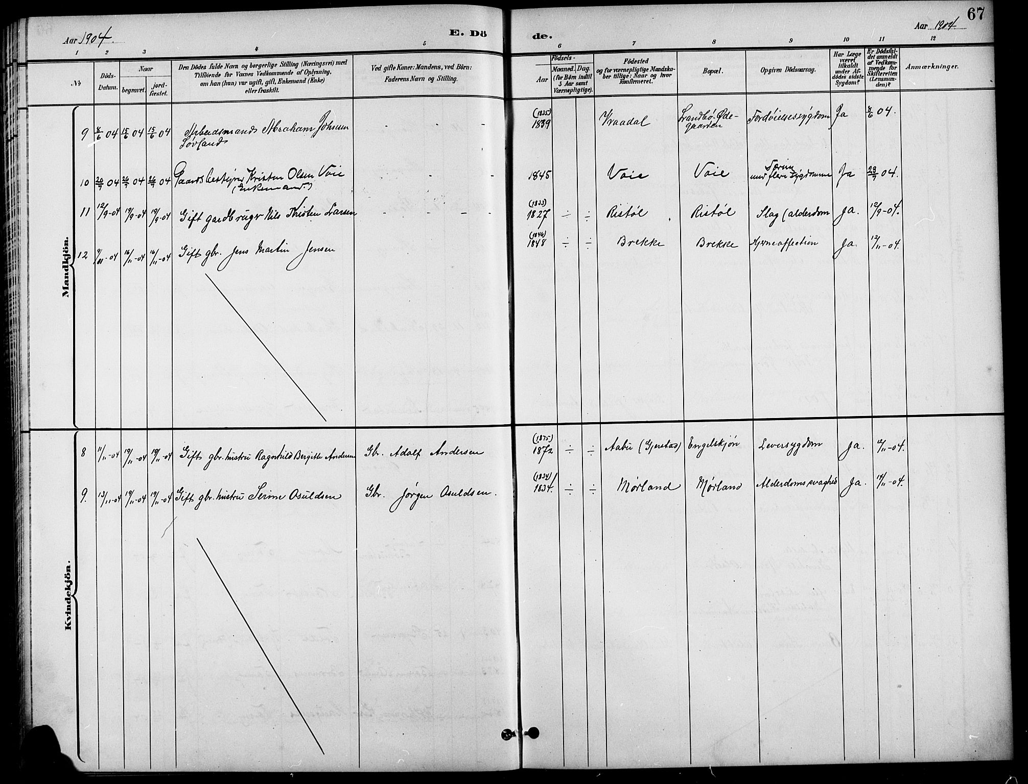 Austre Moland sokneprestkontor, AV/SAK-1111-0001/F/Fb/Fba/L0004: Parish register (copy) no. B 4a, 1897-1913, p. 67