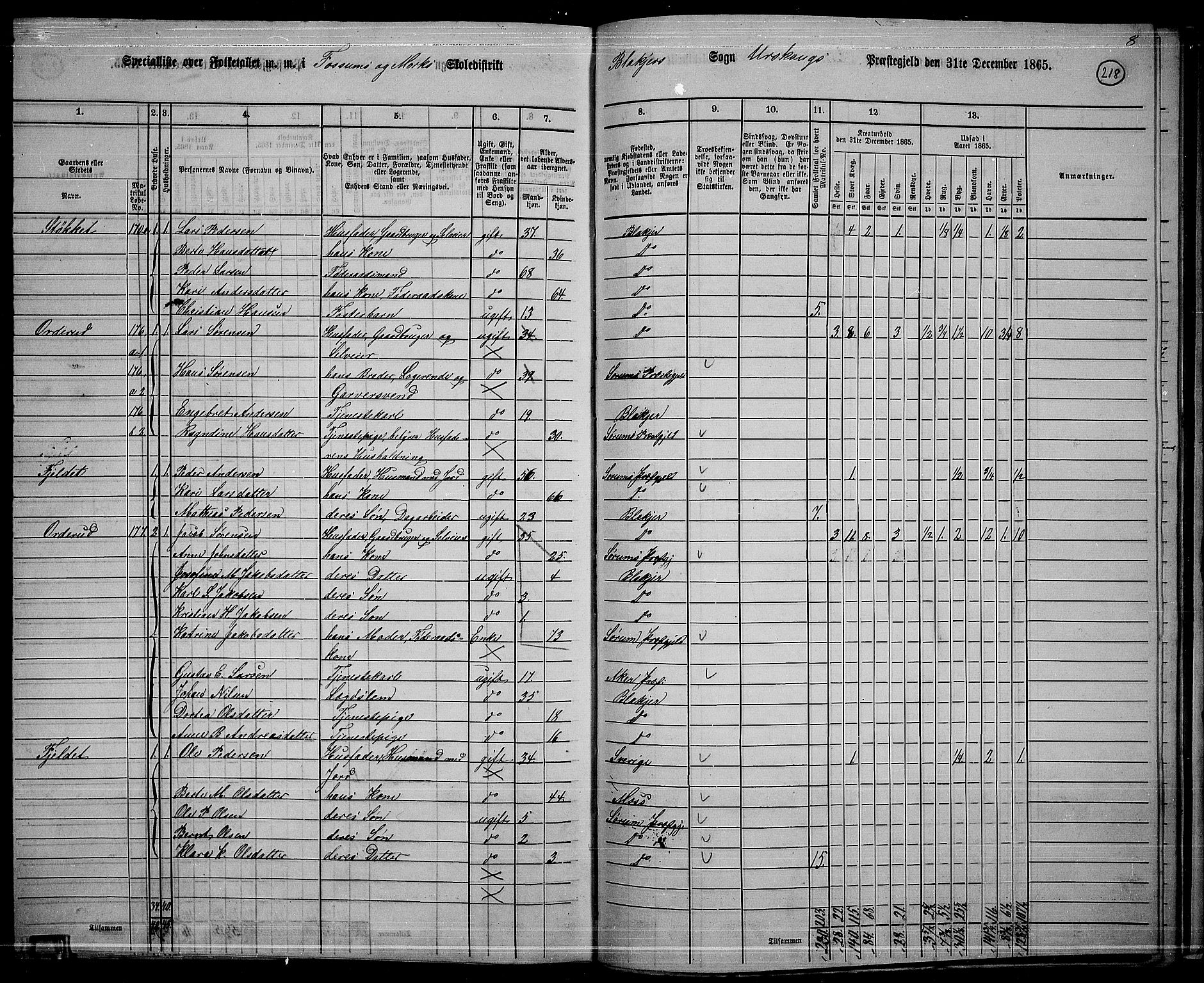 RA, 1865 census for Aurskog, 1865, p. 197