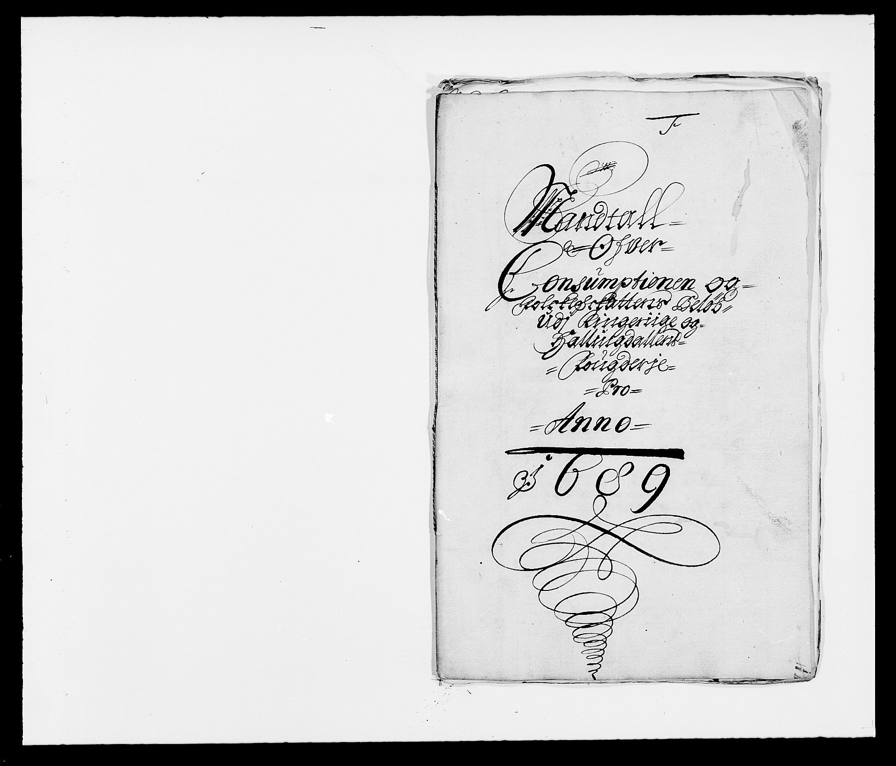Rentekammeret inntil 1814, Reviderte regnskaper, Fogderegnskap, RA/EA-4092/R21/L1447: Fogderegnskap Ringerike og Hallingdal, 1687-1689, p. 314