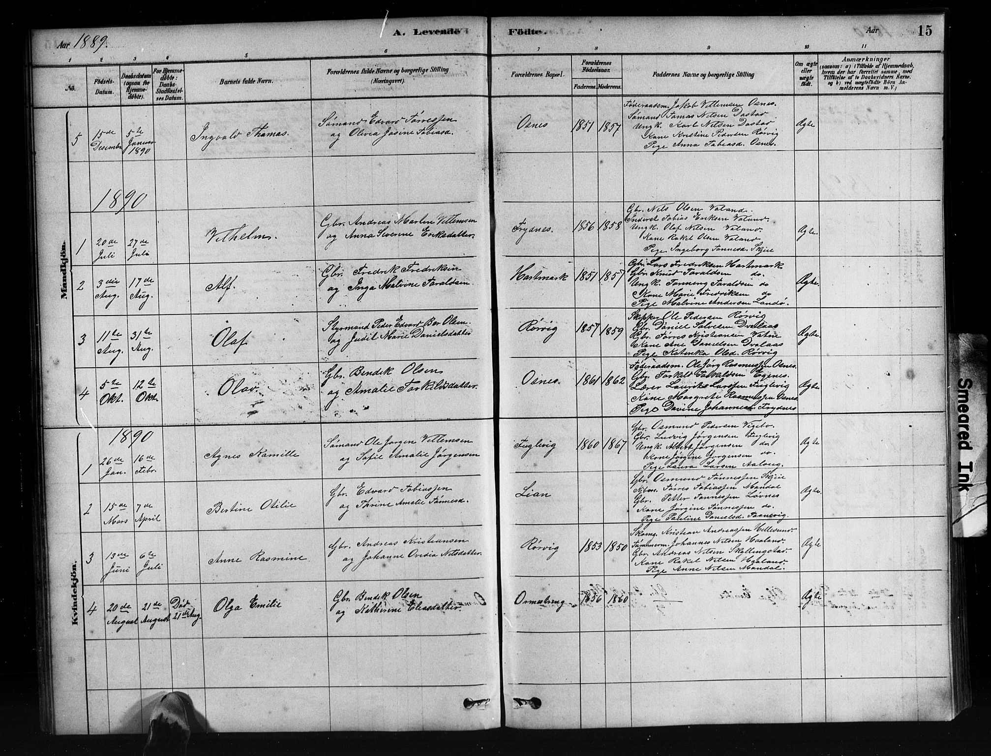 Mandal sokneprestkontor, SAK/1111-0030/F/Fb/Fbb/L0004: Parish register (copy) no. B 4, 1878-1913, p. 15