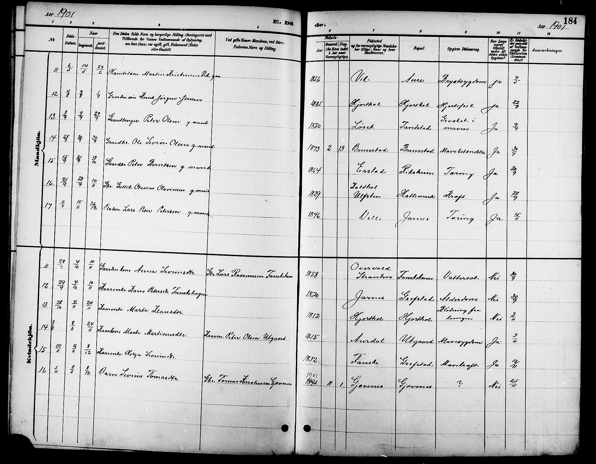 Ministerialprotokoller, klokkerbøker og fødselsregistre - Møre og Romsdal, AV/SAT-A-1454/523/L0340: Parish register (copy) no. 523C03, 1892-1902, p. 184