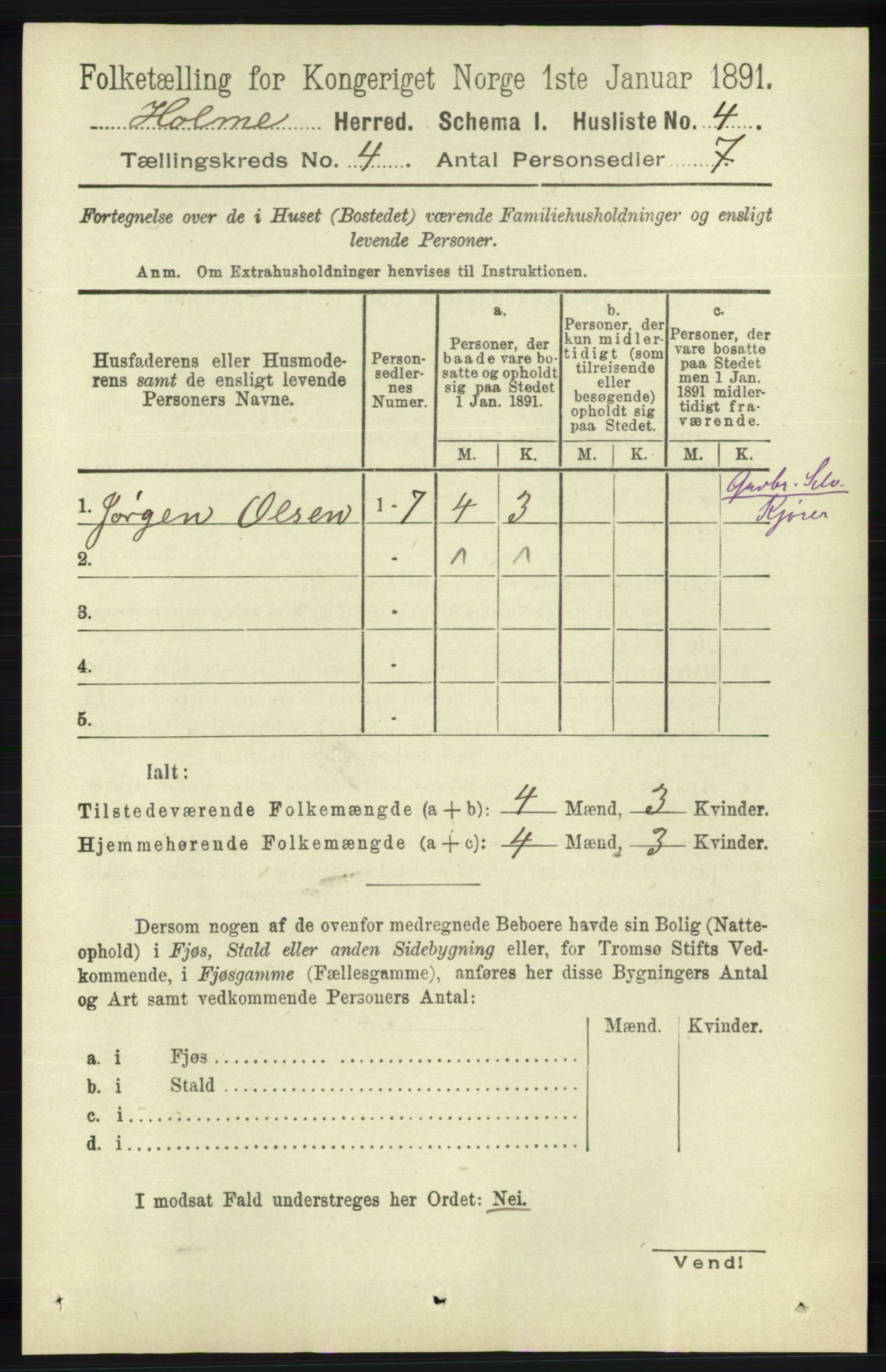 RA, 1891 census for 1020 Holum, 1891, p. 1004