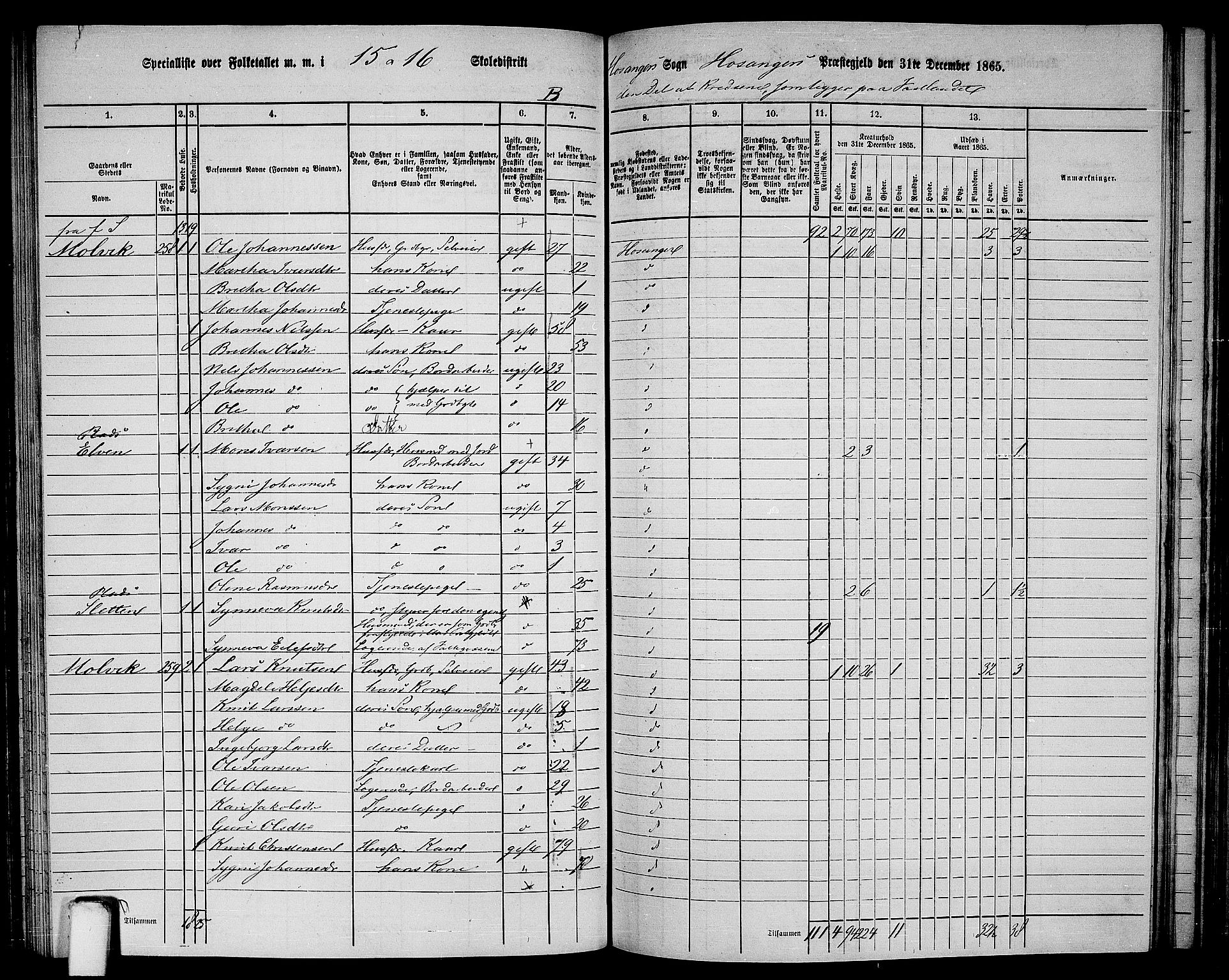 RA, 1865 census for Hosanger, 1865, p. 102