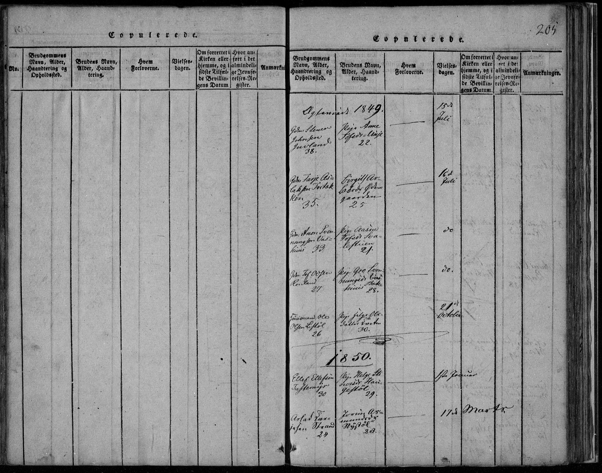 Rauland kirkebøker, AV/SAKO-A-292/F/Fa/L0001: Parish register (official) no. I 1, 1814-1859, p. 205