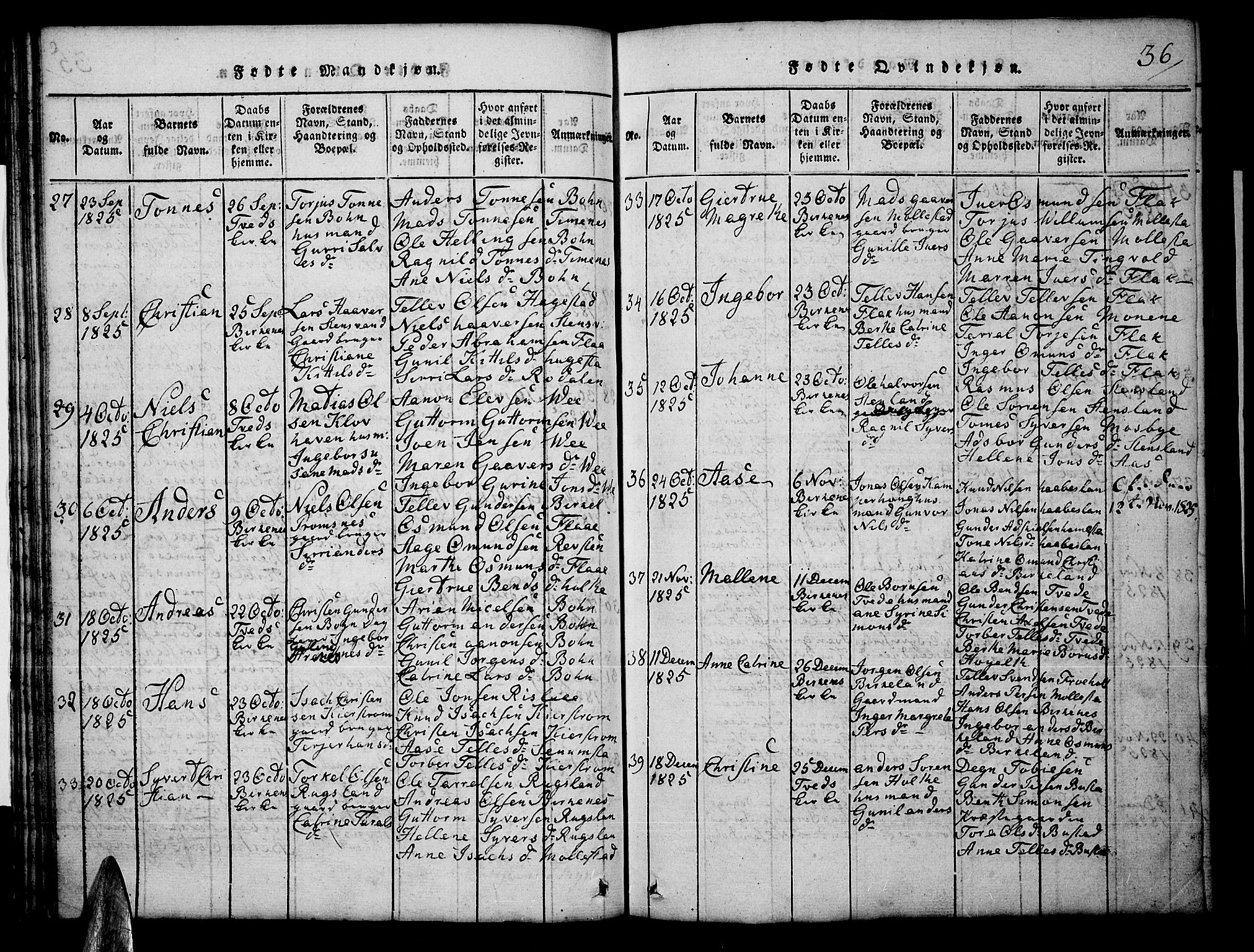 Tveit sokneprestkontor, AV/SAK-1111-0043/F/Fb/L0001: Parish register (copy) no. B 1, 1820-1834, p. 36