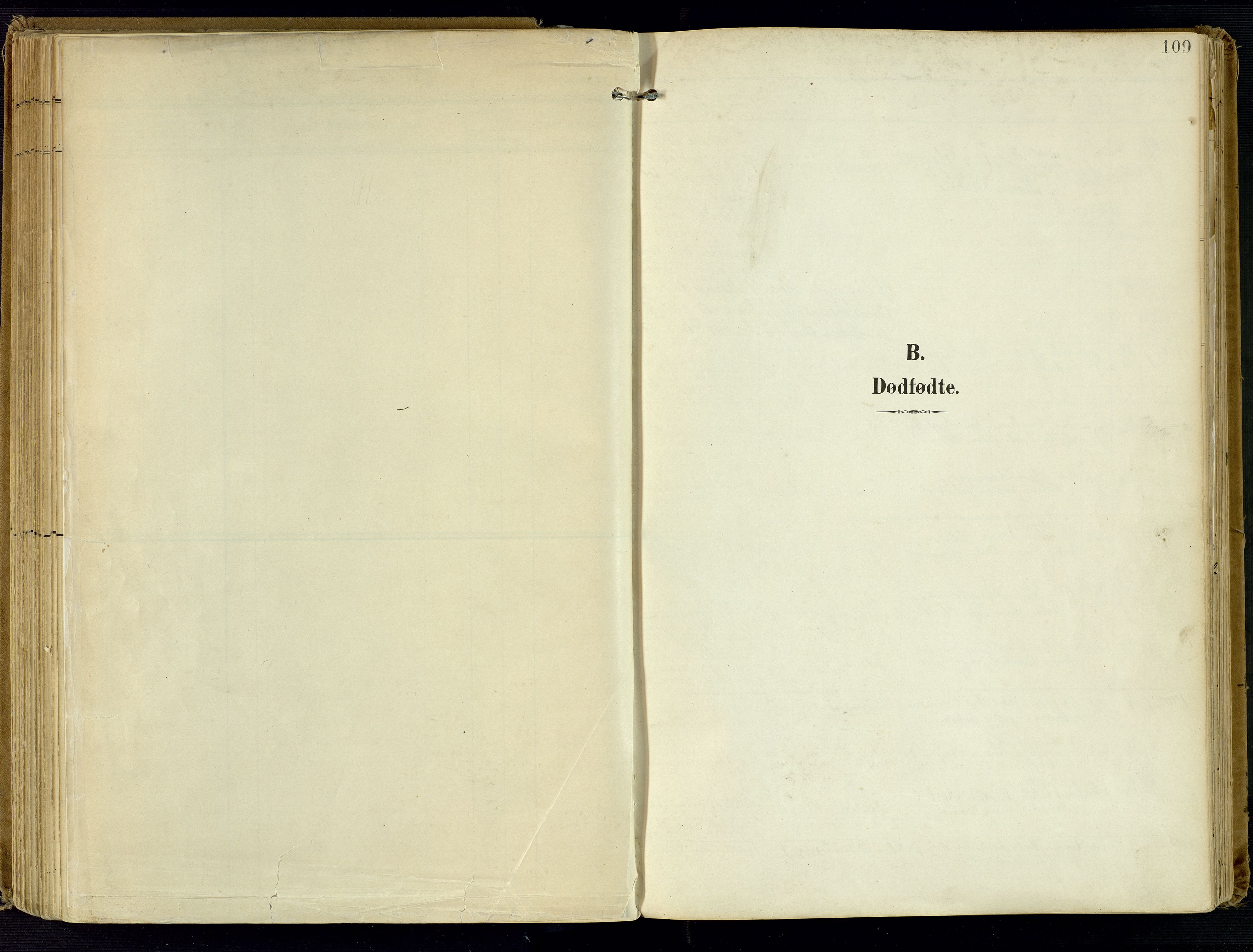 Kvinesdal sokneprestkontor, SAK/1111-0026/F/Fa/Fab/L0009: Parish register (official) no. A 9, 1898-1915, p. 109