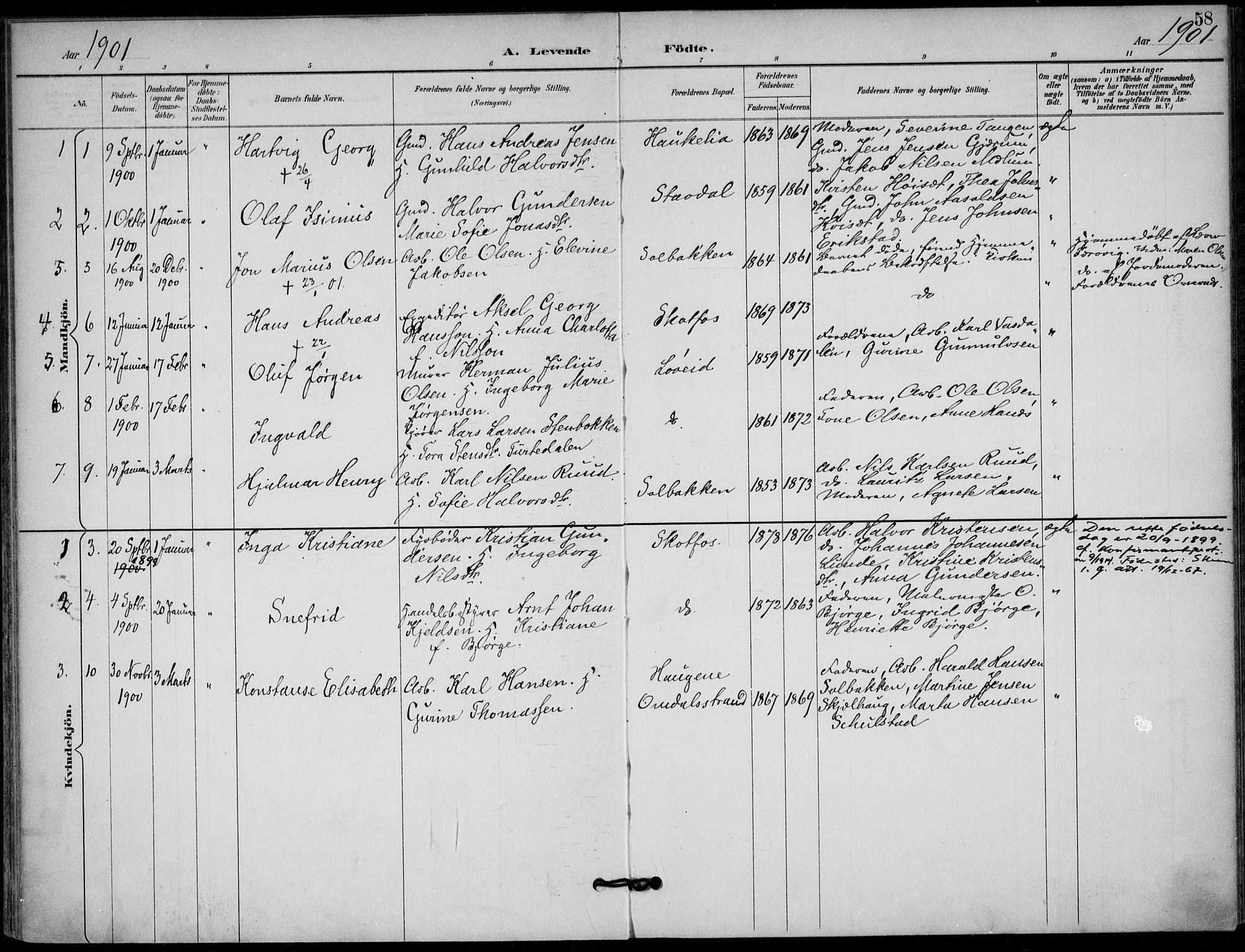 Solum kirkebøker, AV/SAKO-A-306/F/Fb/L0002: Parish register (official) no. II 2, 1893-1901, p. 58