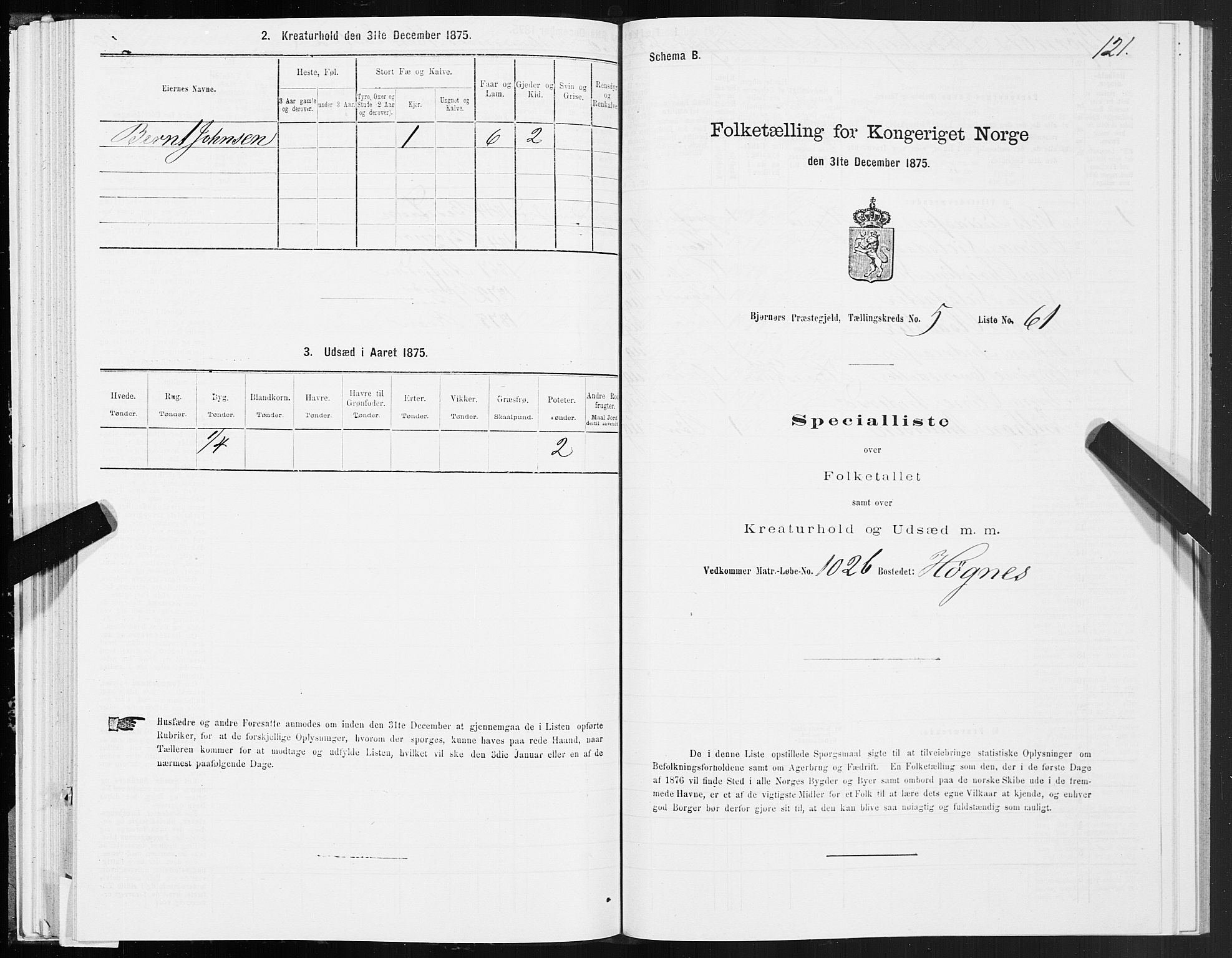 SAT, 1875 census for 1632P Bjørnør, 1875, p. 3121