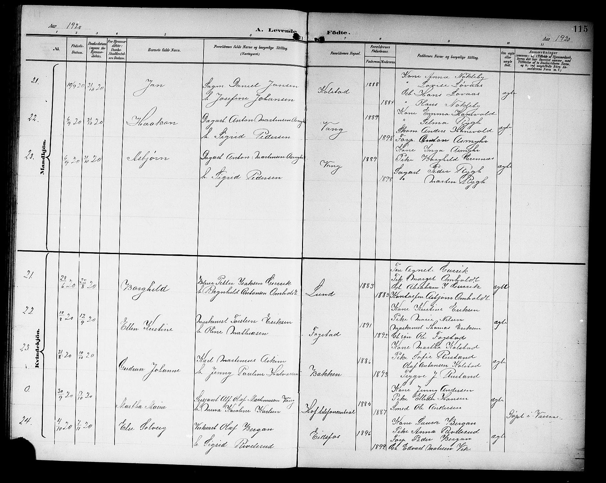 Hof kirkebøker, AV/SAKO-A-64/G/Ga/L0005: Parish register (copy) no. I 5, 1899-1922, p. 115