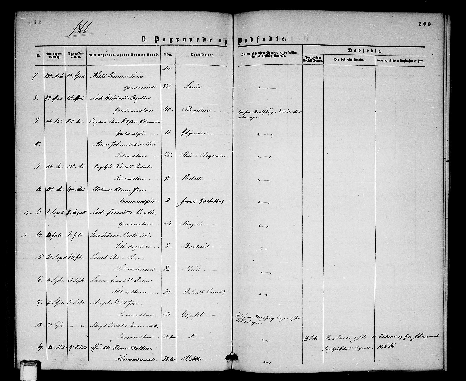 Gransherad kirkebøker, SAKO/A-267/G/Gb/L0002: Parish register (copy) no. II 2, 1860-1886, p. 200