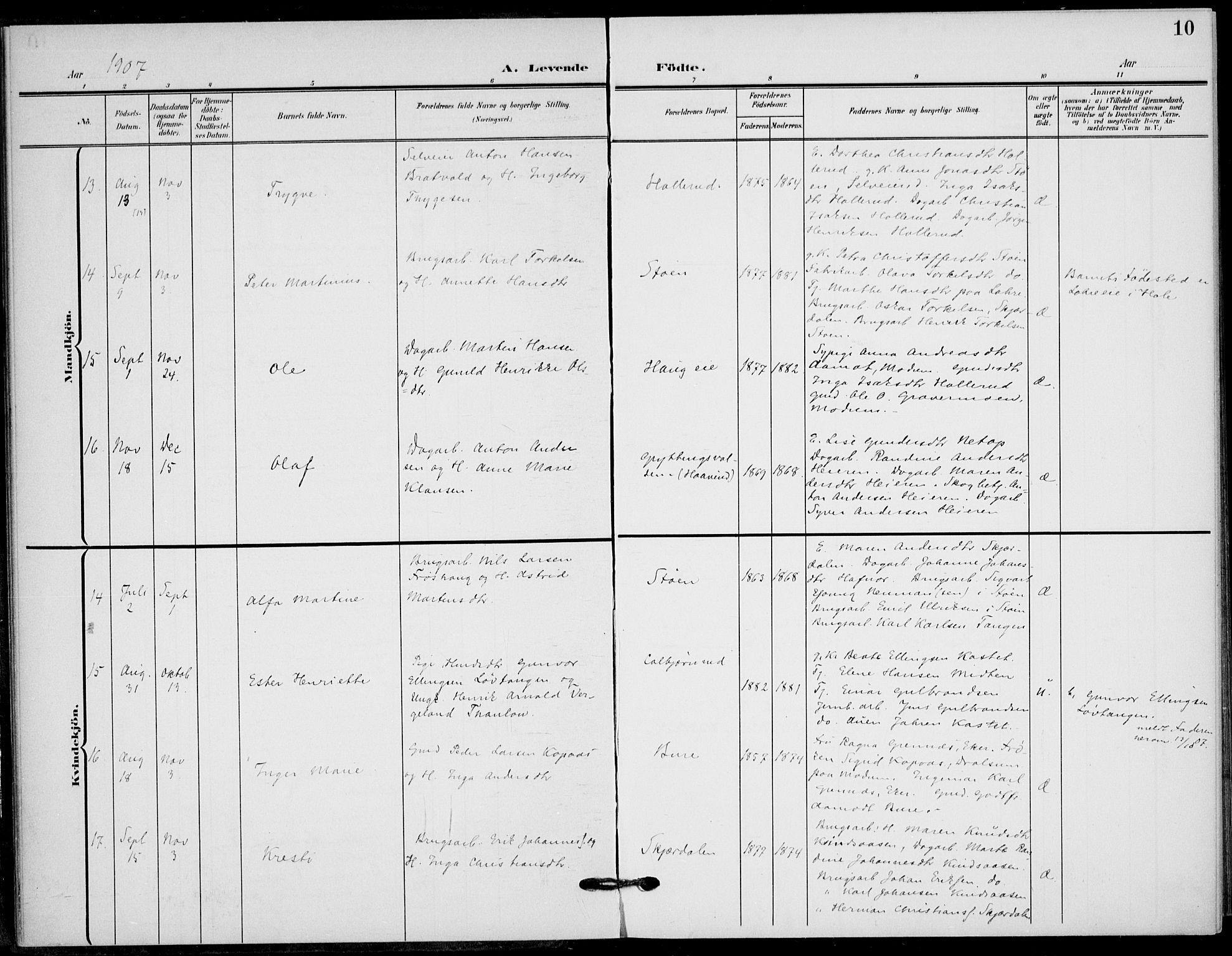 Hole kirkebøker, AV/SAKO-A-228/F/Fb/L0003: Parish register (official) no. II 3, 1906-1916, p. 10