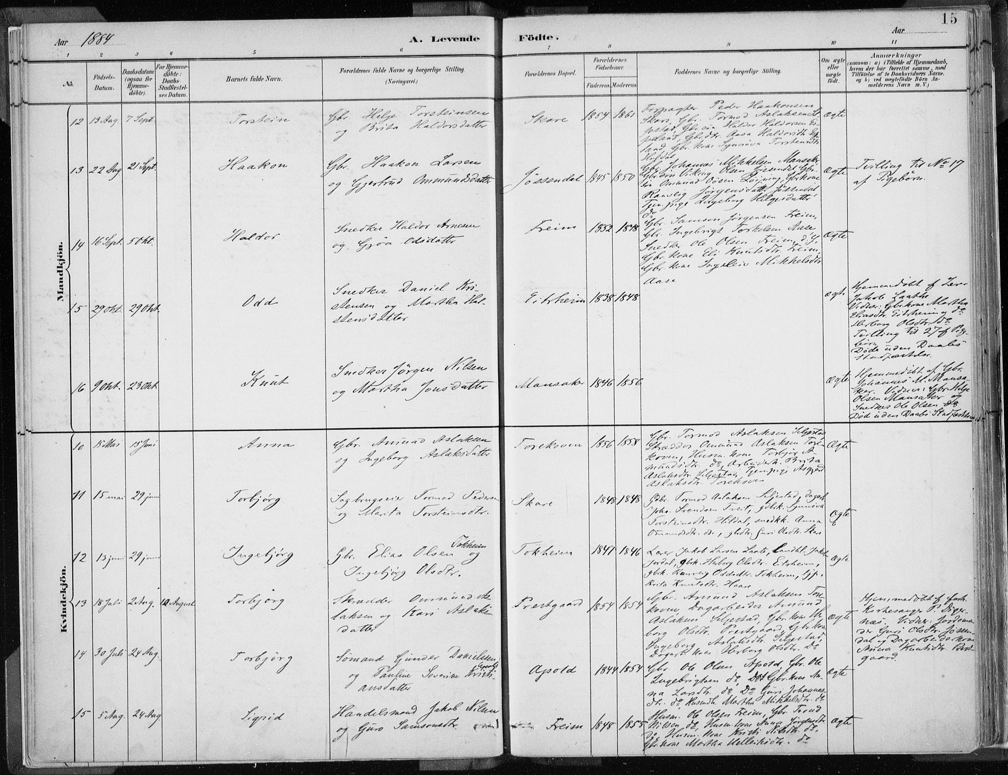 Odda Sokneprestembete, AV/SAB-A-77201/H/Haa: Parish register (official) no. A  3, 1882-1913, p. 15