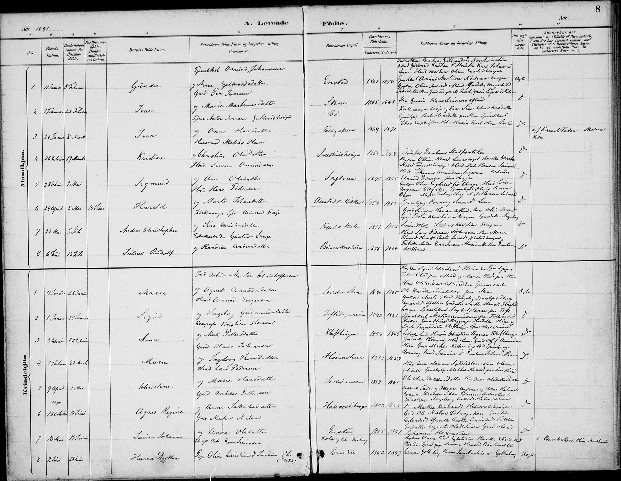 Østre Gausdal prestekontor, SAH/PREST-092/H/Ha/Haa/L0003: Parish register (official) no. 3, 1887-1901, p. 8