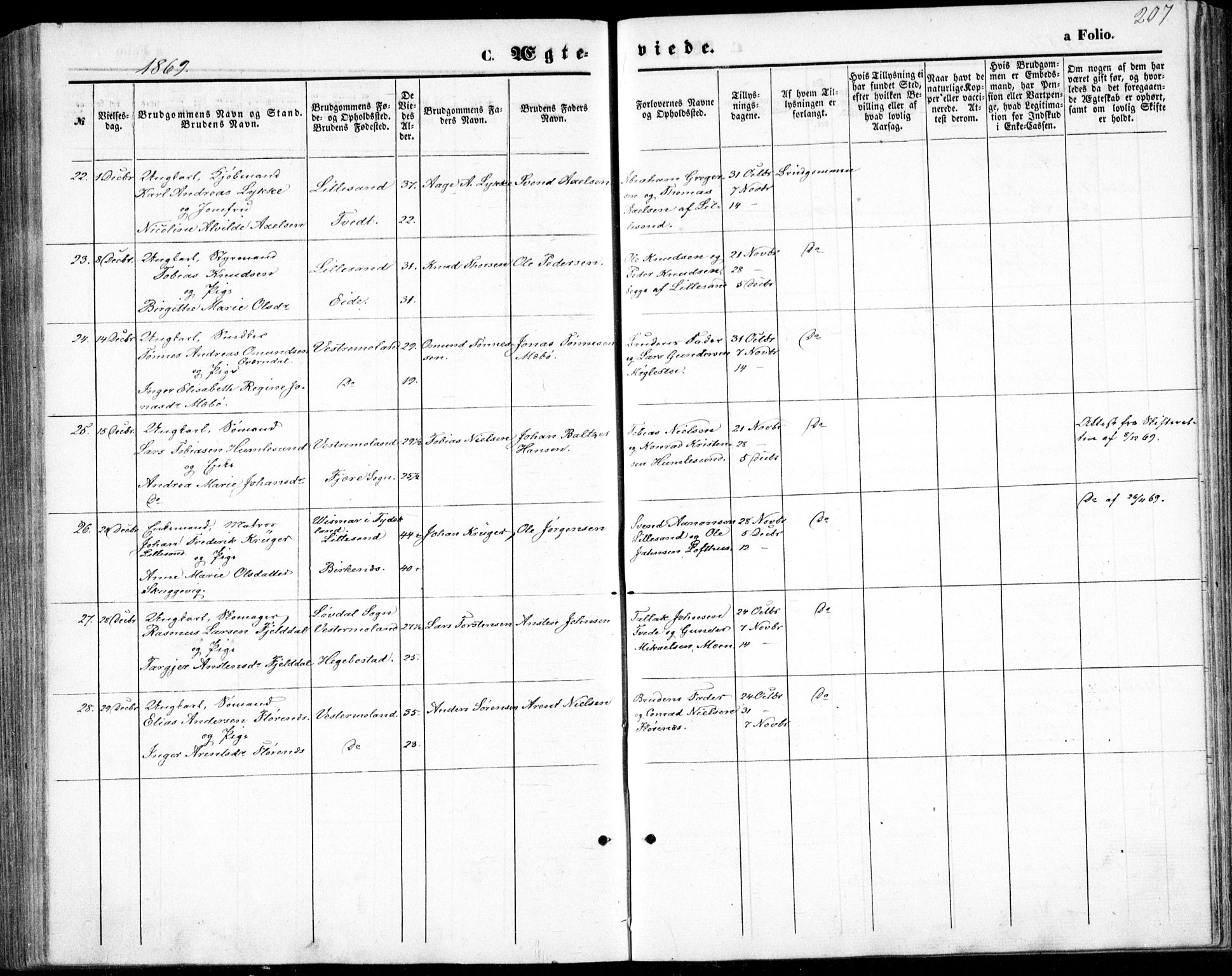 Vestre Moland sokneprestkontor, AV/SAK-1111-0046/F/Fb/Fbb/L0004: Parish register (copy) no. B 4, 1861-1872, p. 207