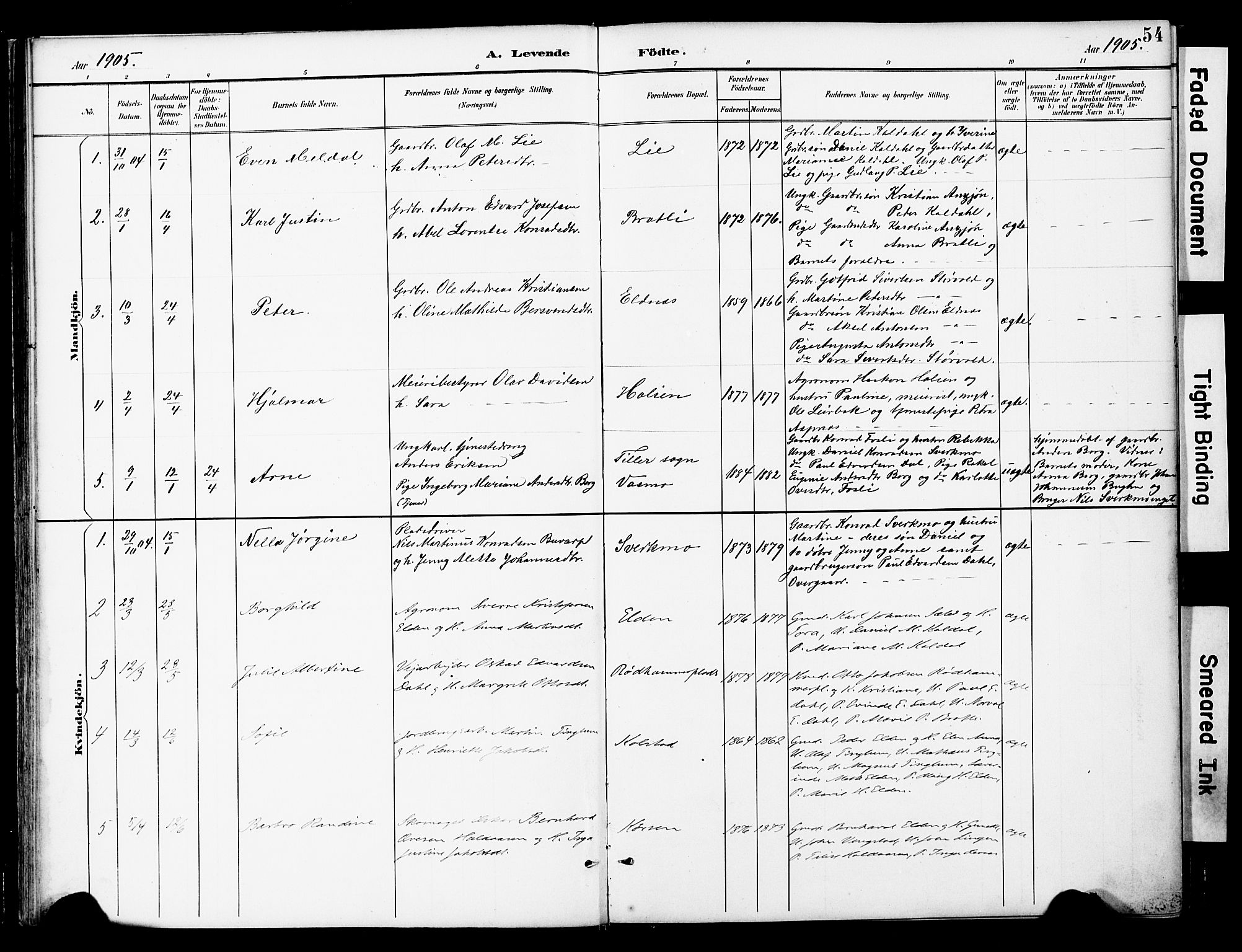 Ministerialprotokoller, klokkerbøker og fødselsregistre - Nord-Trøndelag, SAT/A-1458/742/L0409: Parish register (official) no. 742A02, 1891-1905, p. 54
