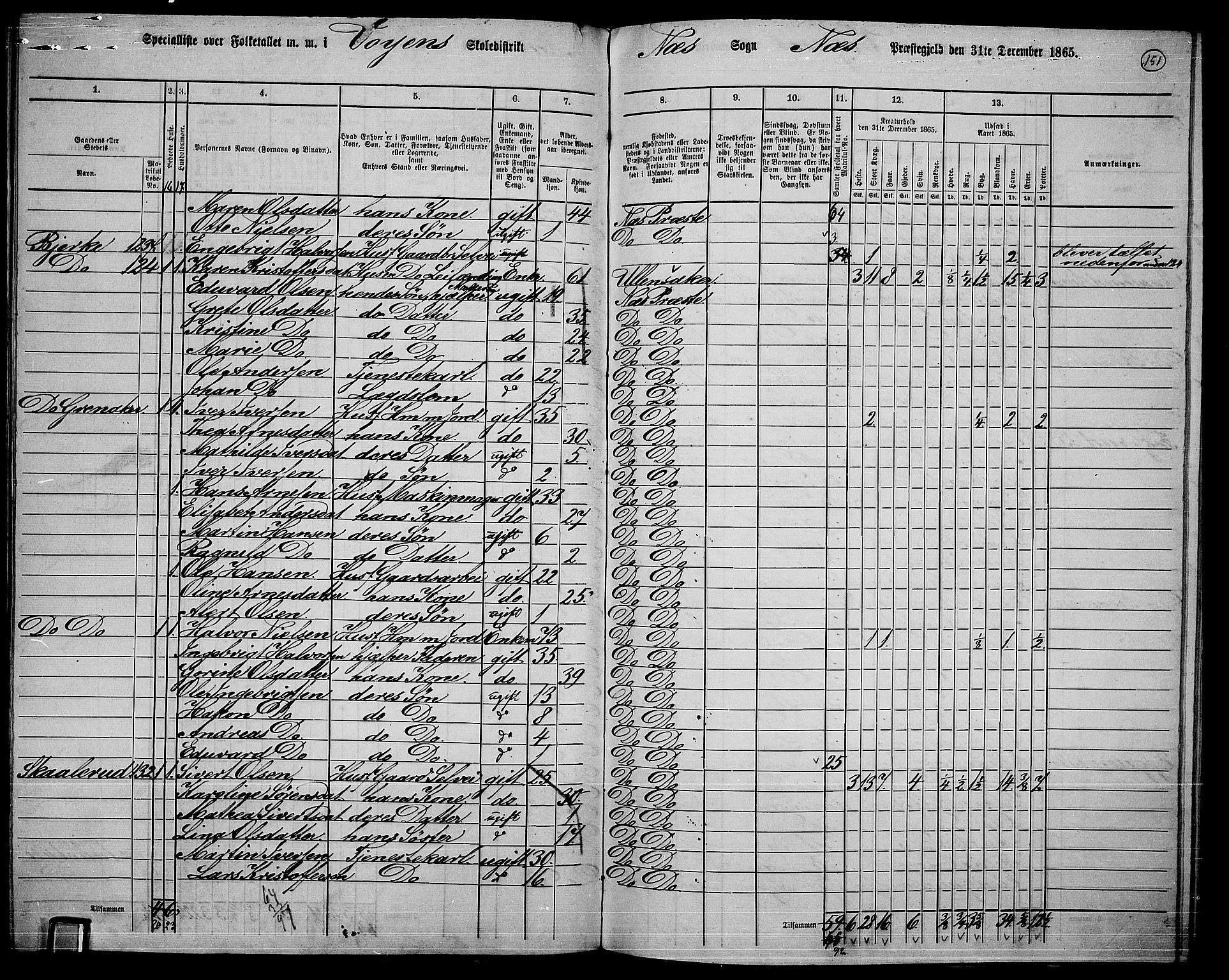 RA, 1865 census for Nes, 1865, p. 137