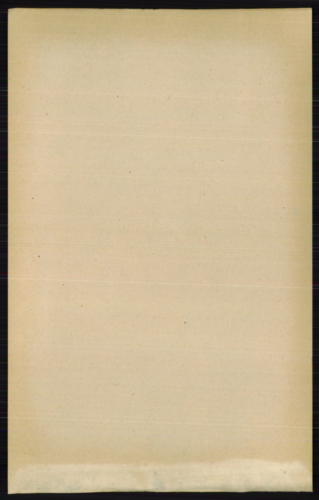 RA, 1891 census for 0412 Ringsaker, 1891, p. 5046
