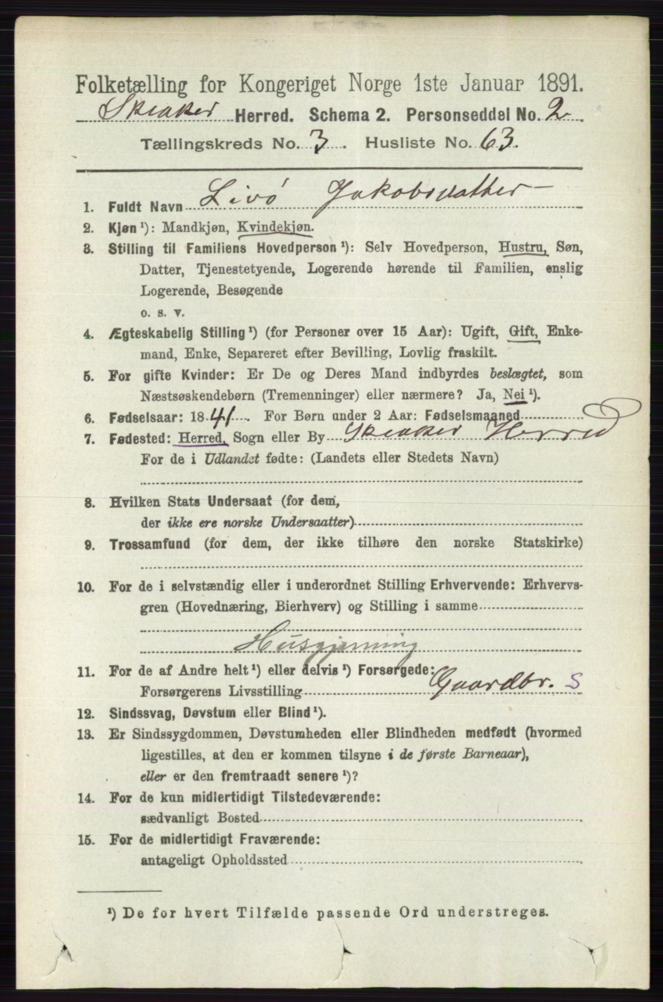 RA, 1891 census for 0513 Skjåk, 1891, p. 1287