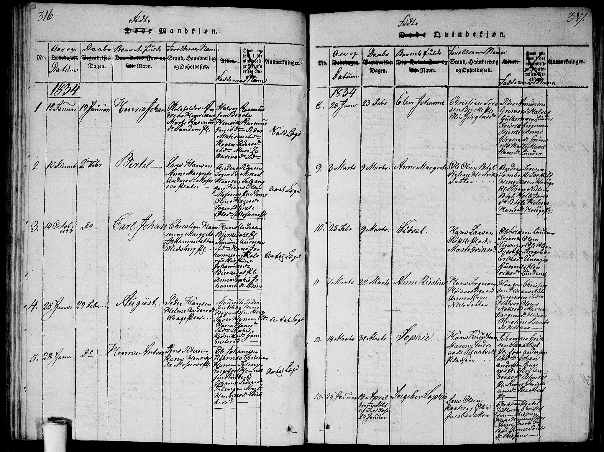 Våler prestekontor Kirkebøker, SAO/A-11083/G/Ga/L0001: Parish register (copy) no. I 1, 1815-1839, p. 316-317