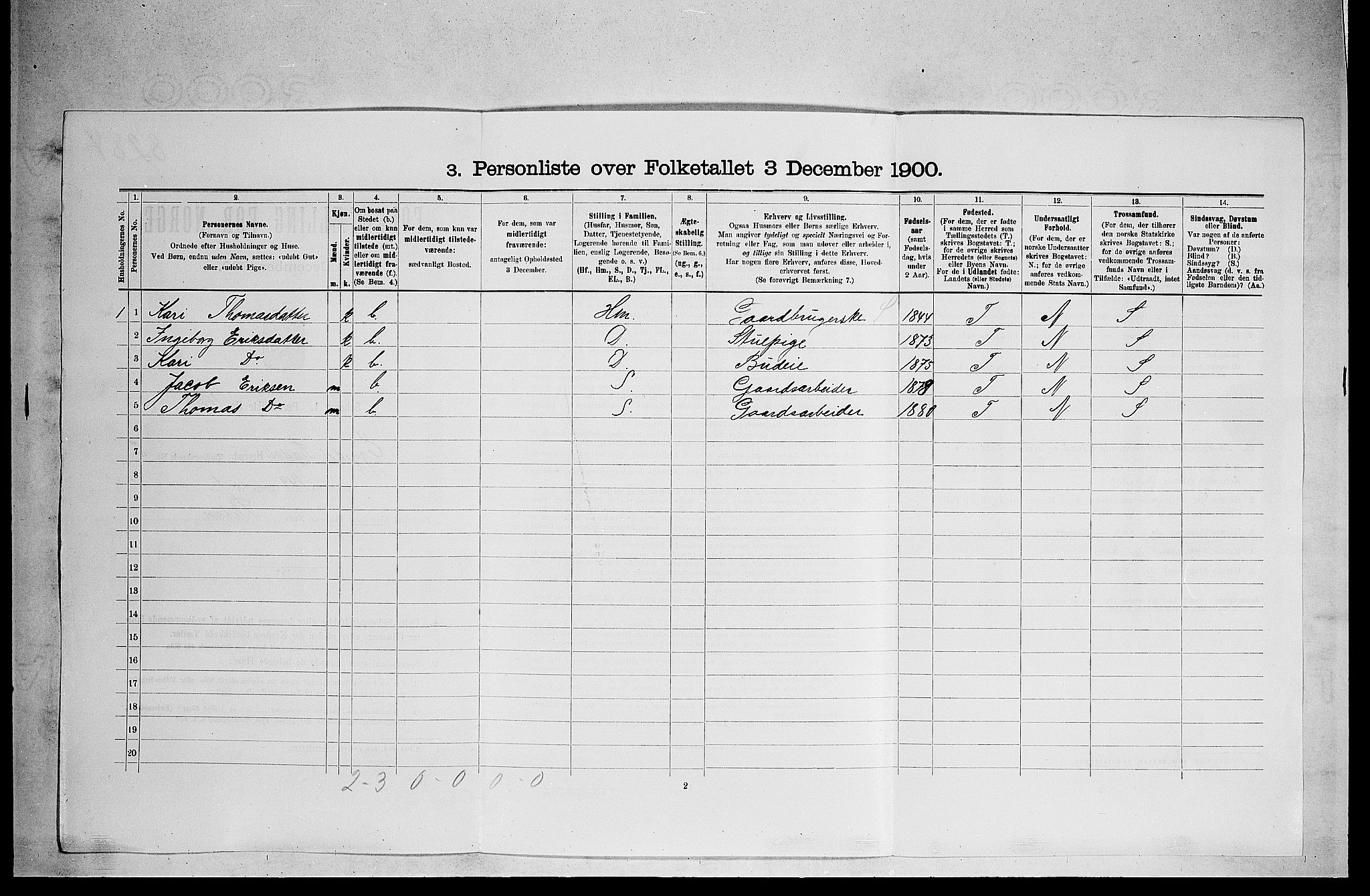 RA, 1900 census for Sigdal, 1900, p. 2057