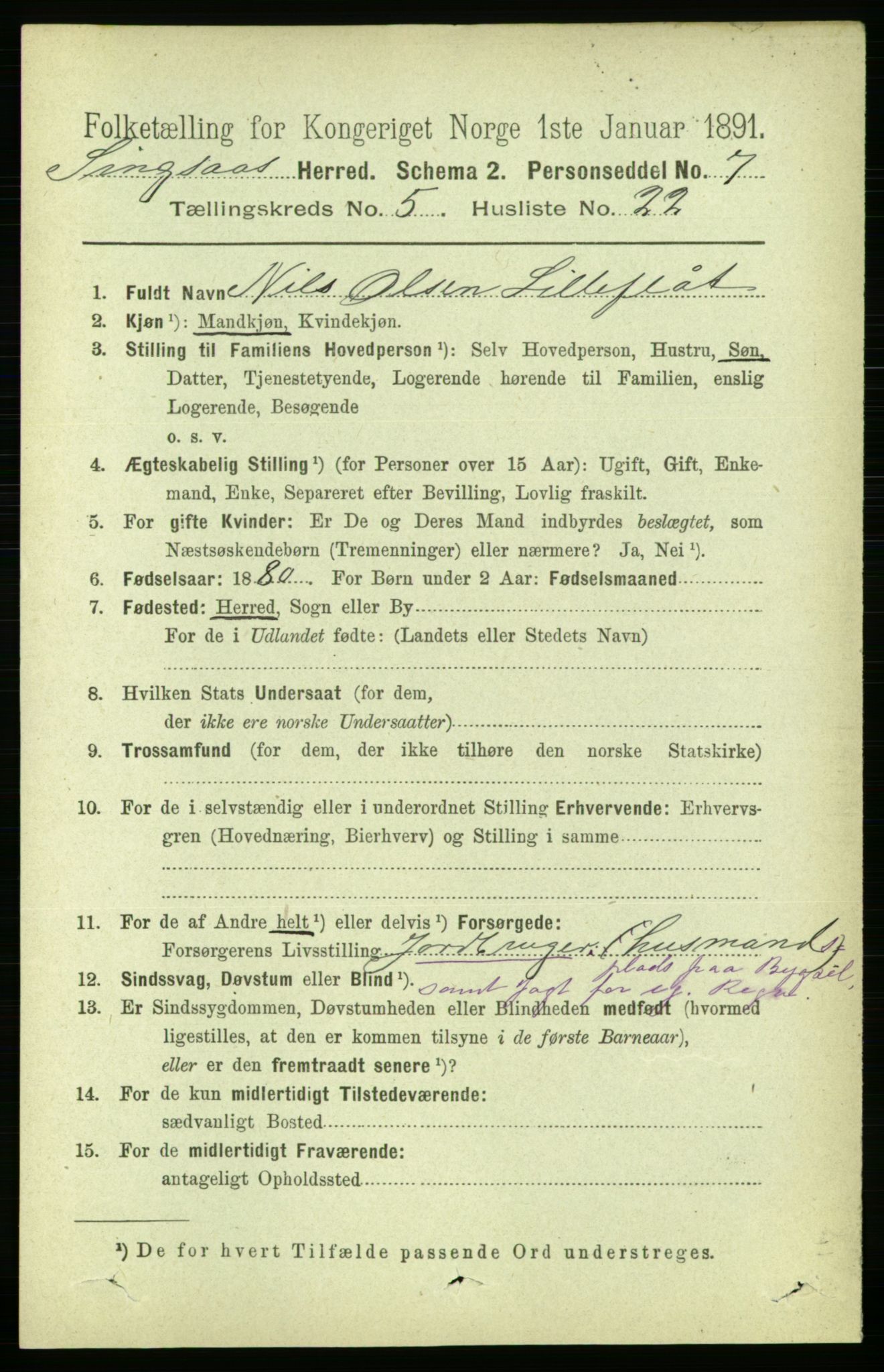 RA, 1891 census for 1646 Singsås, 1891, p. 1169